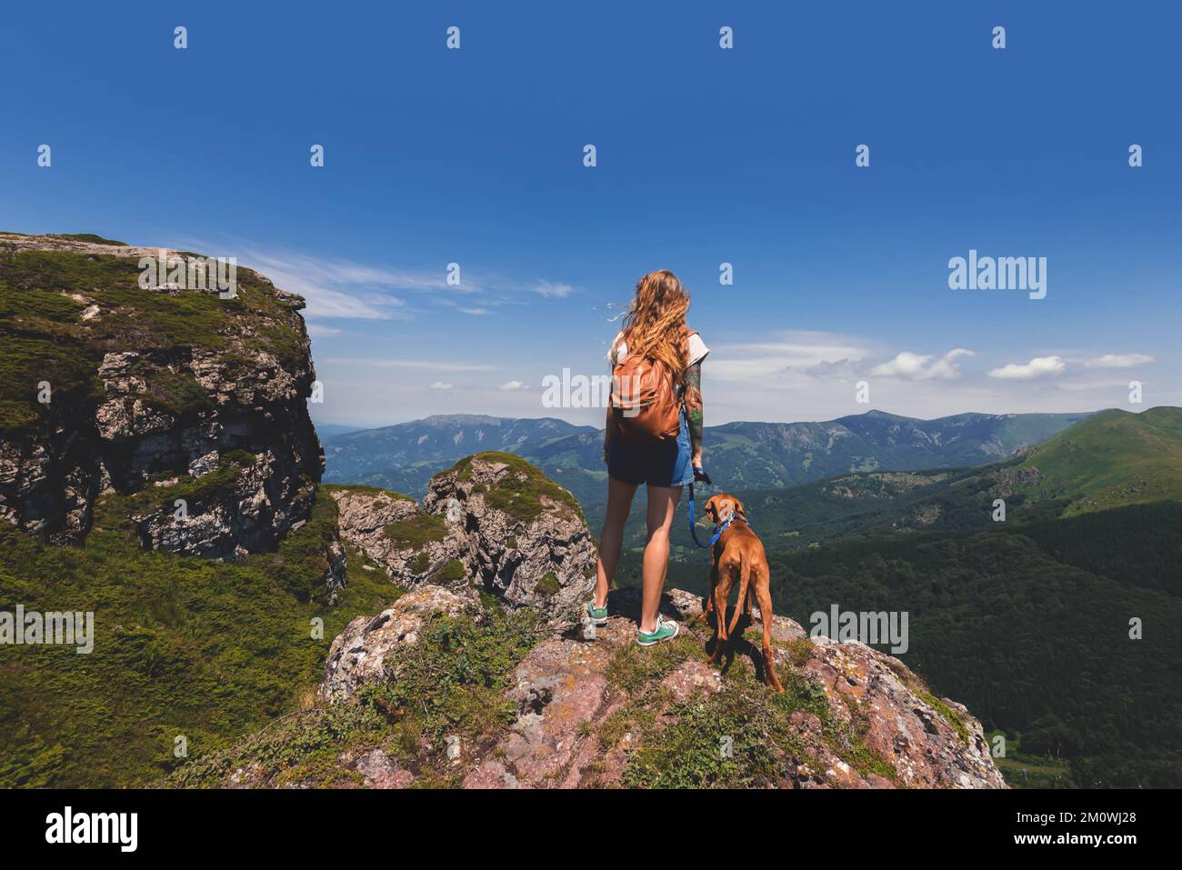 Donna Backpacker e Vizsla cane sulla cima di montagna Foto Stock