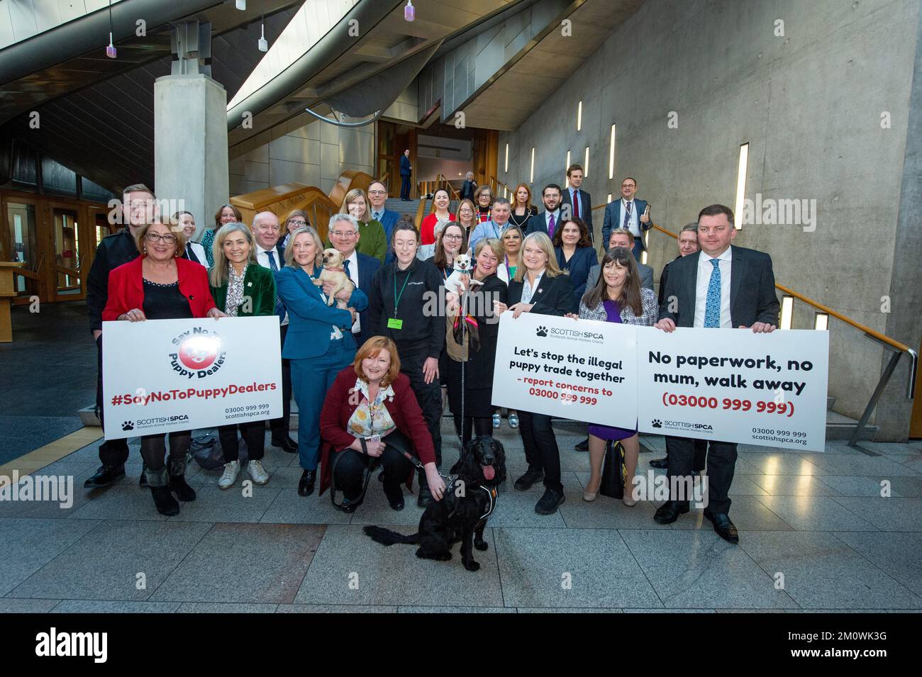 Edimburgo, Scozia, Regno Unito. 8th Dec, 2022. FOTO di gruppo degli MSP con i cuccioli. Chiamata fotografica con gli MSP che tengono i cuccioli mentre l'SPCA scozzese fa una chiamata fotografica dicendo a nessun commerciante dei cuccioli nella lobby del giardino del Parlamento scozzese, Holyrood. Credit: Colin D Fisher Credit: Colin Fisher/Alamy Live News Foto Stock