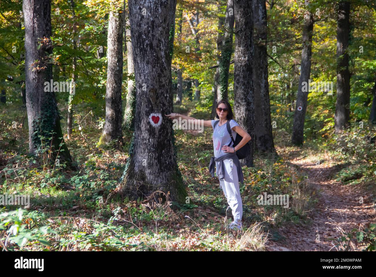 Bella donna di mezza età che mostra a simbolo di amore, cuore, dipinto sull'albero in foresta profonda nel parco nazionale, salvare l'ambiente e la natura Foto Stock