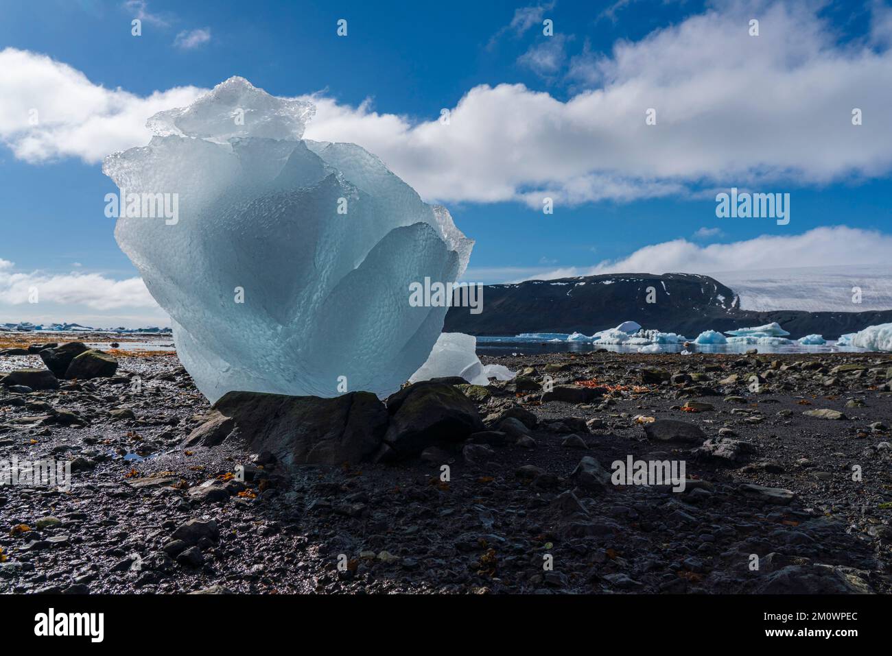 Isola del Diavolo, Mare di Weddell, Antartide. Foto Stock