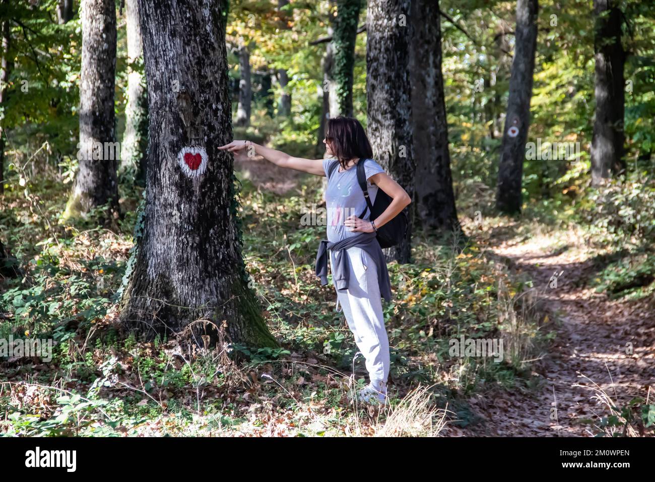 Bella donna di mezza età che mostra a simbolo di amore, cuore, dipinto sull'albero in foresta profonda nel parco nazionale, salvare l'ambiente e la natura Foto Stock