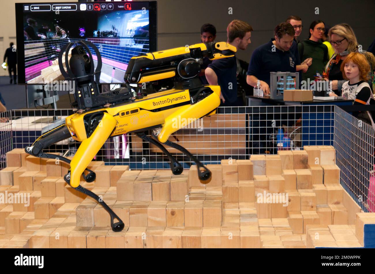 Boston Dynamics Robotic Dog, Spot, utilizzato dal centro per le applicazioni remote in ambienti difficili della UK Atomic Energy Authority, in corso di dimostrazione, al 2022 New Scientist Live Foto Stock