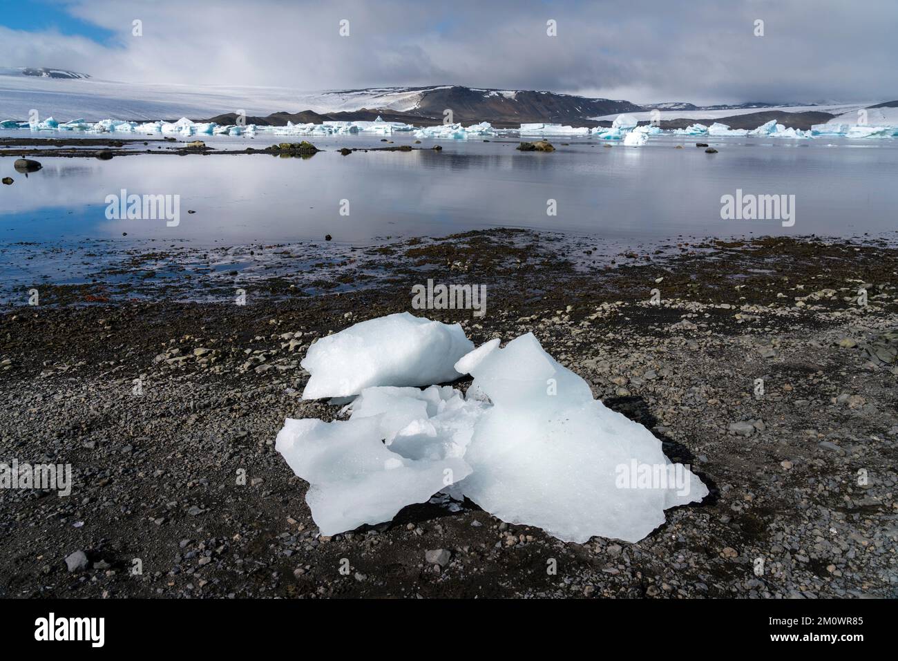 Isola del Diavolo, Mare di Weddell, Antartide. Foto Stock