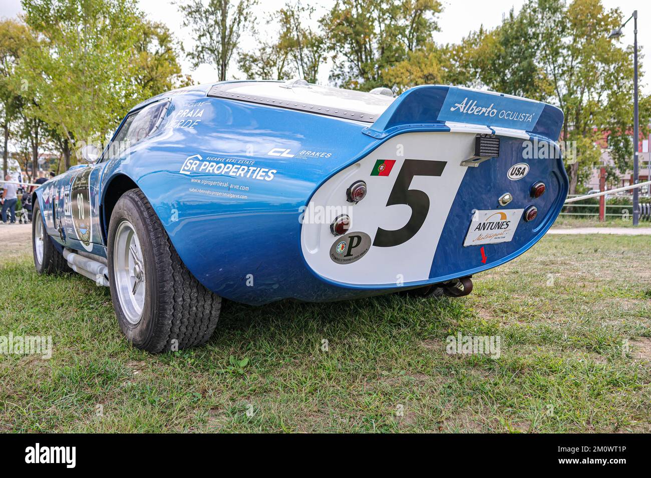 Una vista posteriore dell'ipnotizzante Shelby Daytona Cobra Coupe auto da corsa classica in un campo Foto Stock