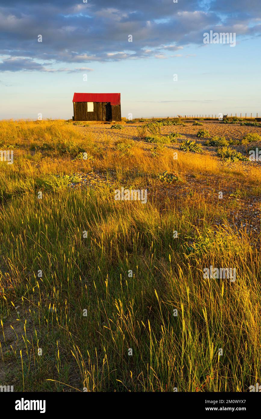 Riserva naturale di Rye Harbour al Sunset Hut con tetto rosso Rye Harbour Rye East Sussex Inghilterra UK GB Europe Foto Stock