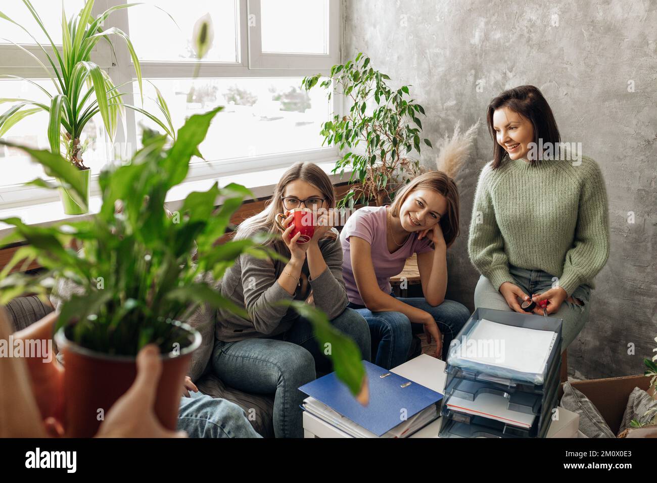 Sorridendo donne positive che scelgono le piante della casa per il nuovo appartamento, siediti sul divano vicino al tavolo con le cartelle della carta nel soggiorno Foto Stock