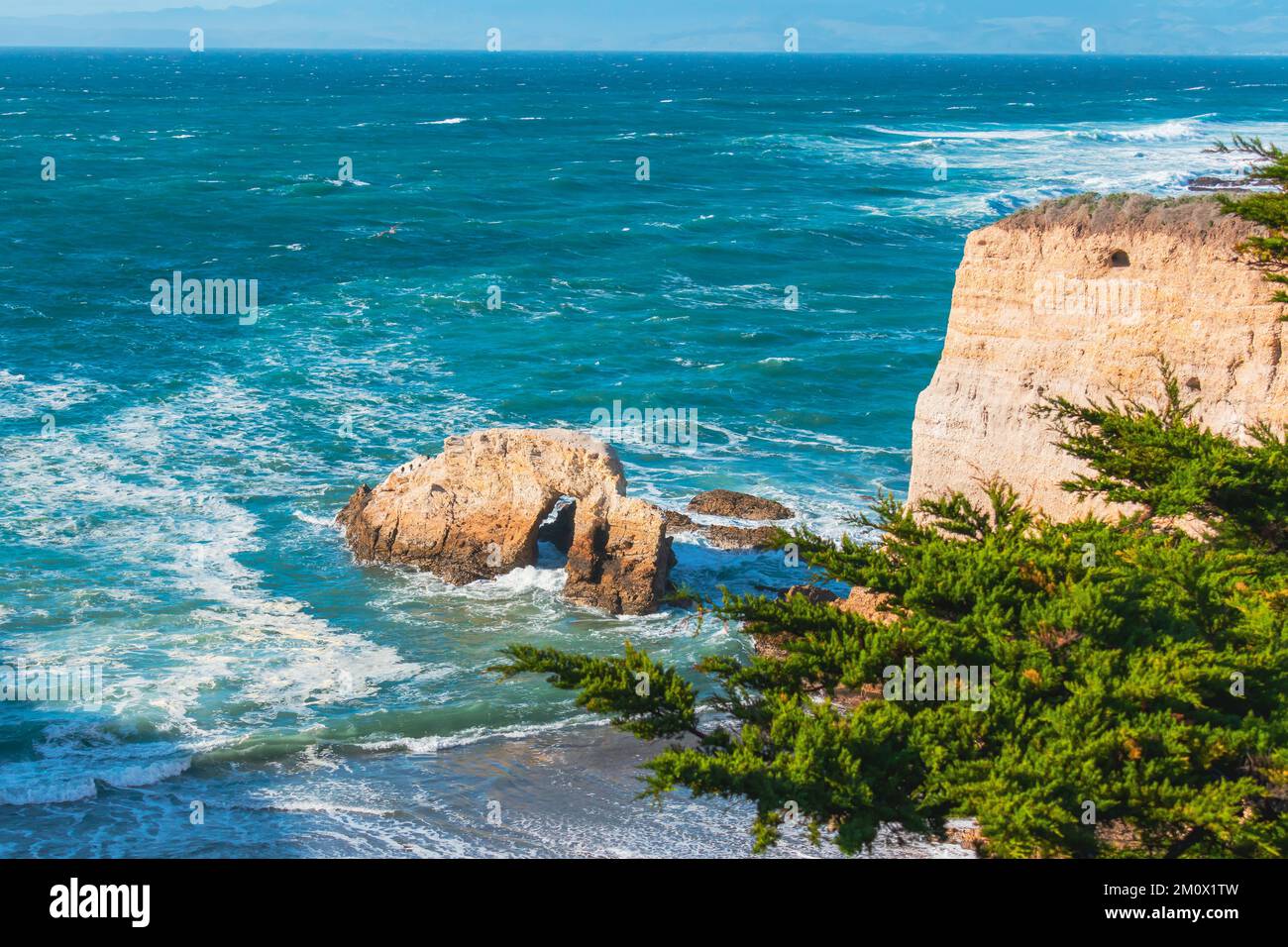 Scogliere rocciose, vista sull'oceano e foresta nativa della California, vista mozzafiato dal sentiero Montana de Oro Bluff, California Foto Stock