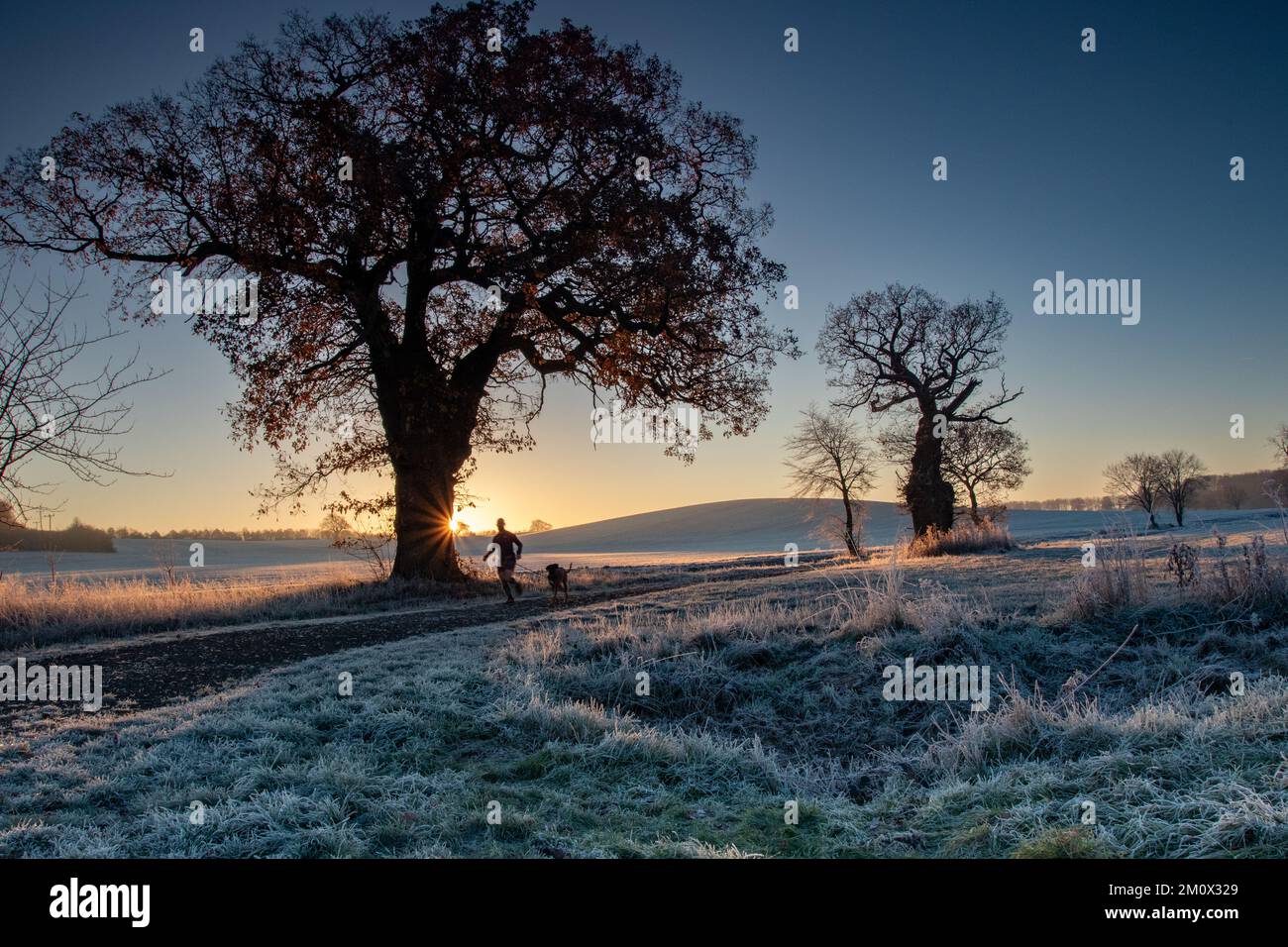 Un pareggiatore e il suo cane all'alba su una gelida mattina di dicembre. Foto Stock