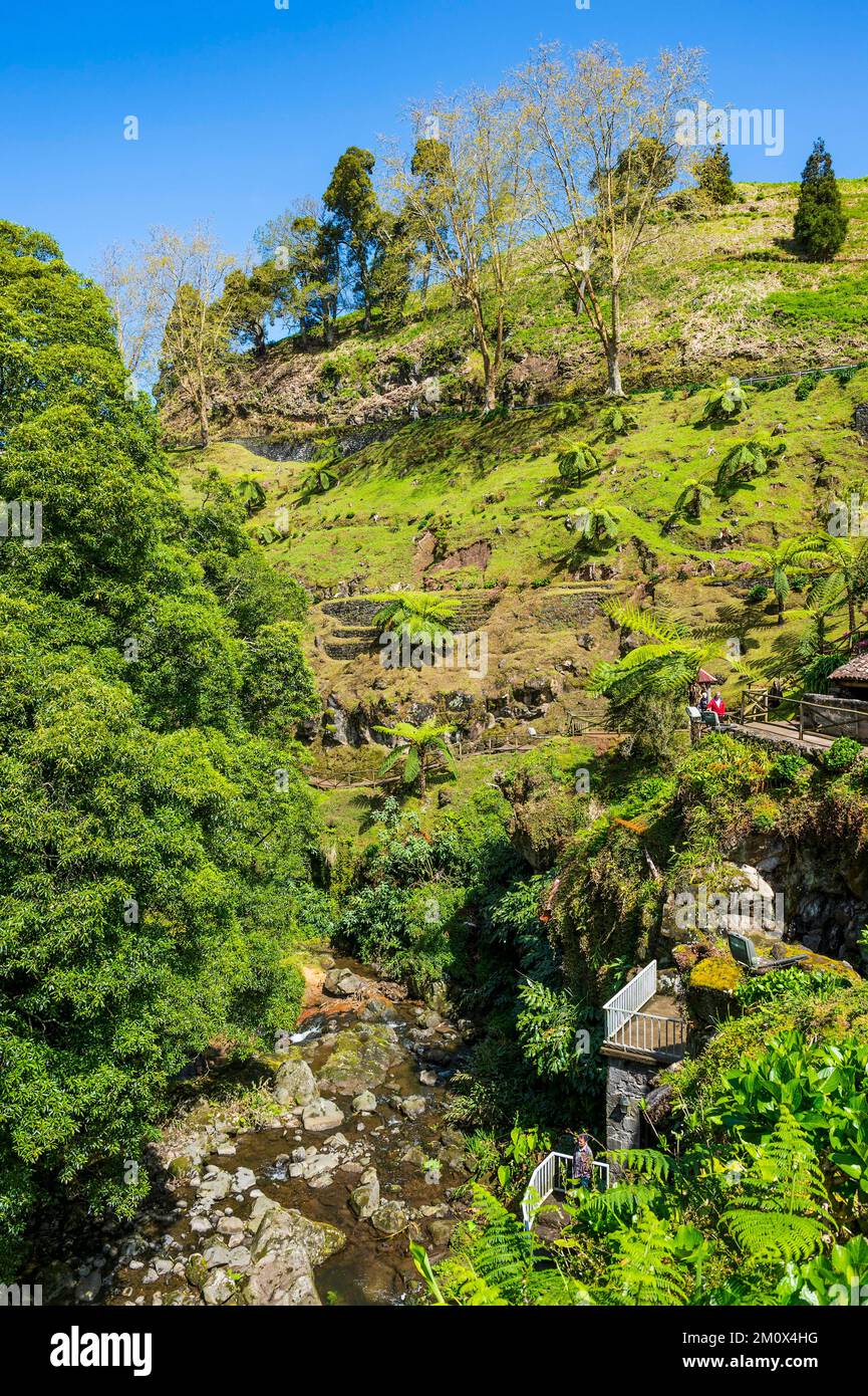Bella valle in Achada, isola di Sao Miguel, Azzorre, Portogallo, Europa Foto Stock
