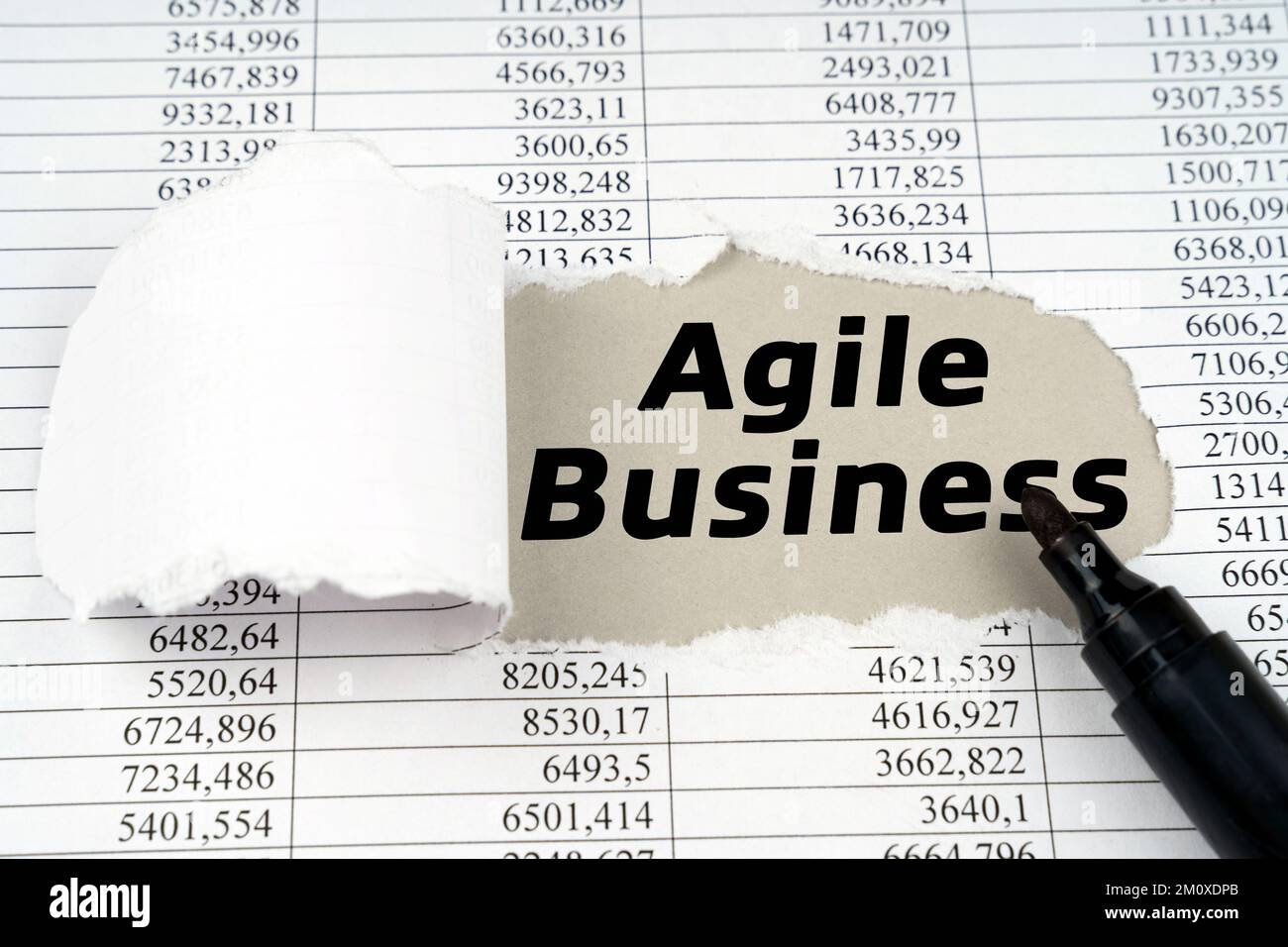 Concetto aziendale. Al centro del documento con il bilancio, c'è un buco con l'iscrizione - Agile Business Foto Stock