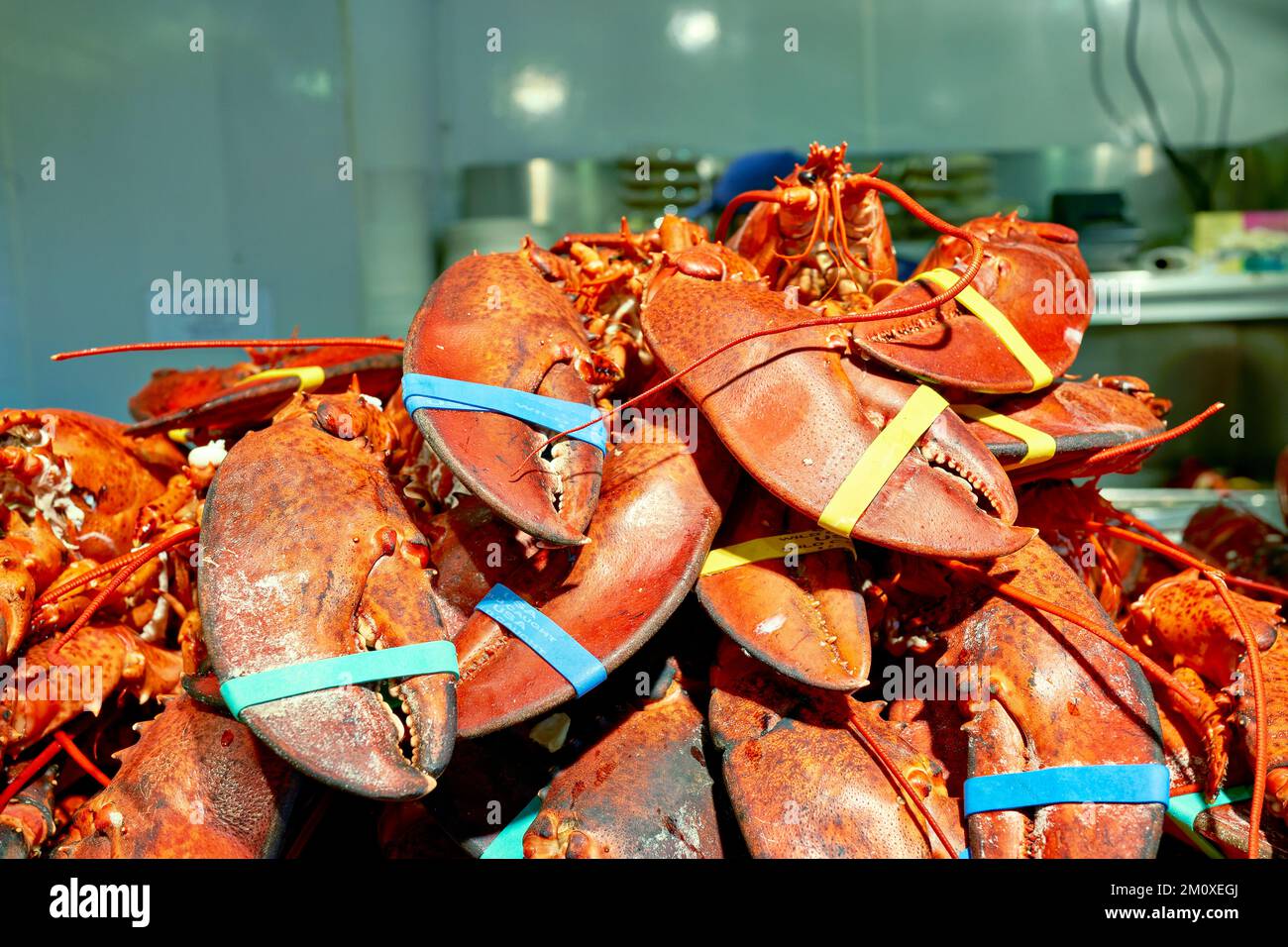 New York. Manhattan. Stati Uniti. Ristorante Lobster Place al Chelsea Market Foto Stock