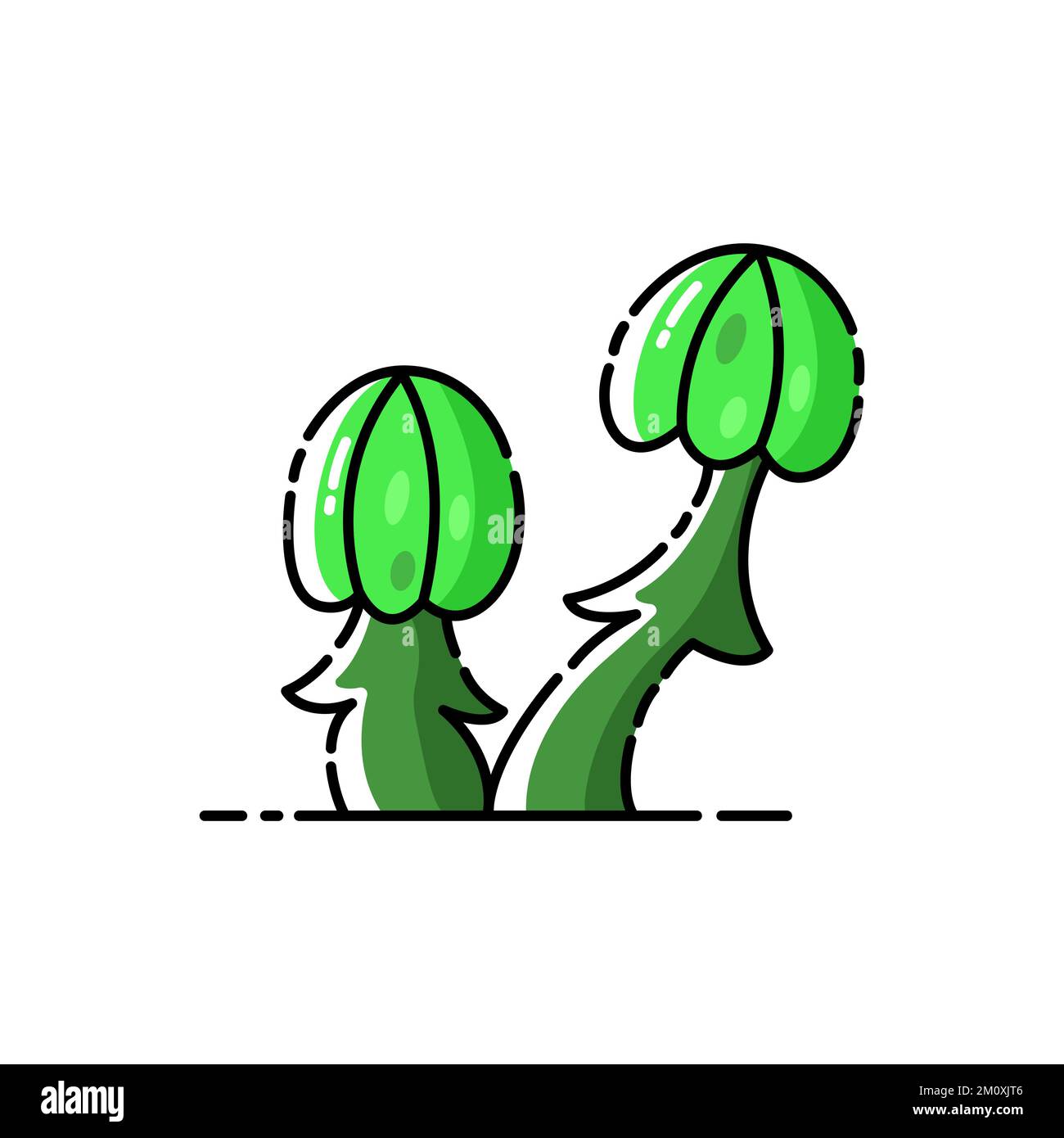 Funghi velenosi mistici verdi su sfondo bianco isolato. Illustrazione Vettoriale