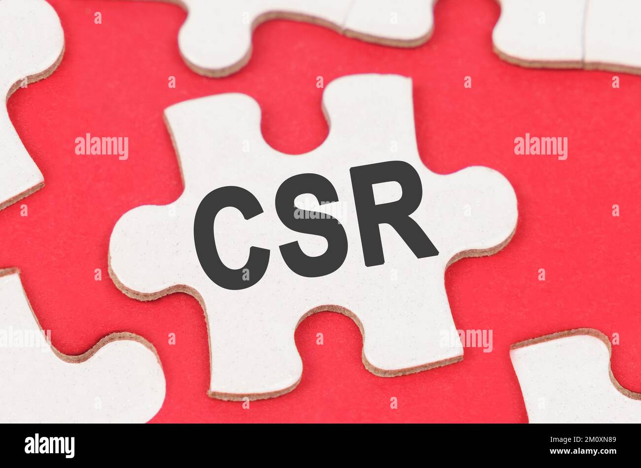 Business ed Economia. Su uno sfondo rosso, tra i puzzle bianchi si trova un puzzle con l'iscrizione - CSR Foto Stock