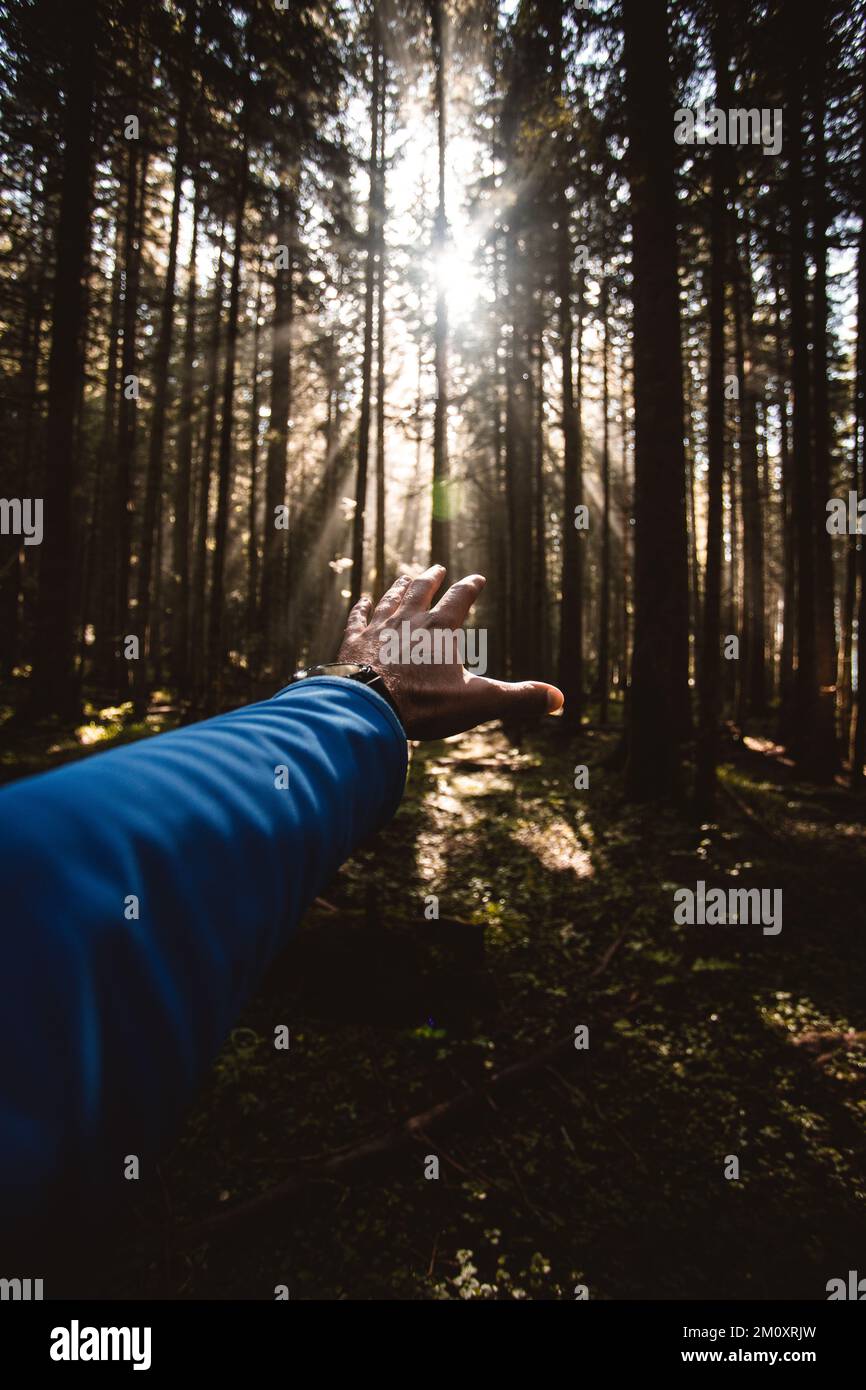 Un colpo verticale della mano di un uomo che raggiunge il sole splende nella foresta Foto Stock