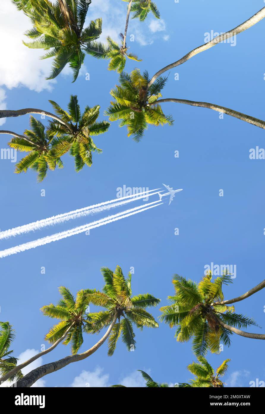 Palme da cocco e aeroplano. Aereo passeggeri che sorvola un'isola tropicale. Concetto di vacanza. Foto Stock