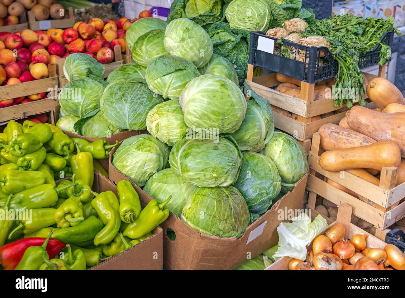 Cabbages fresco Kale Celeriac Squash Pepers Verde Vegetable in Crates Foto Stock