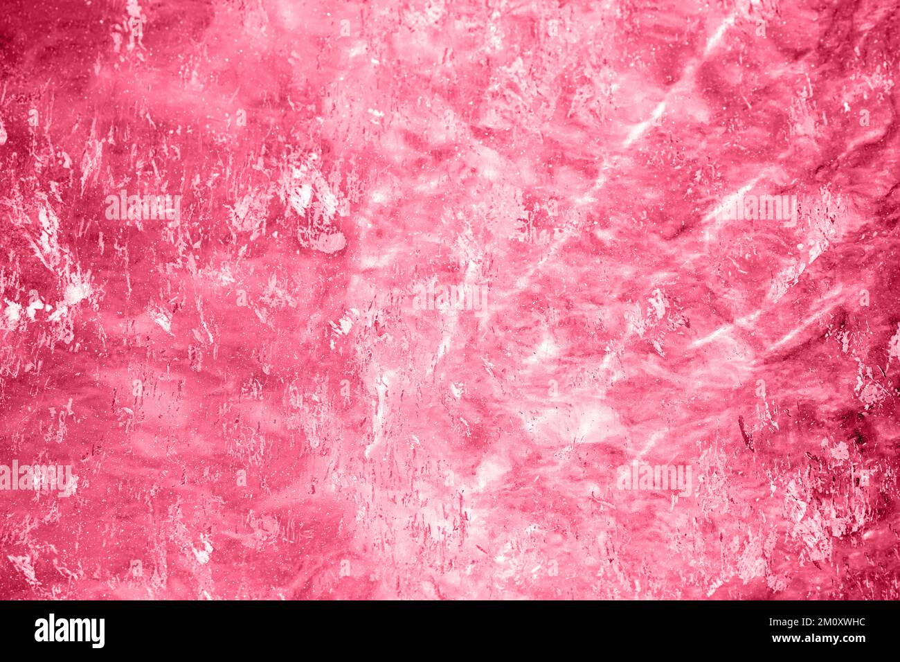 Ghiaccio blu trasparente di lago Baikal congelato con motivo a onde. Splendido sfondo invernale natura. Immagine colorata in color magenta trendy dell'anno 2023. Foto Stock