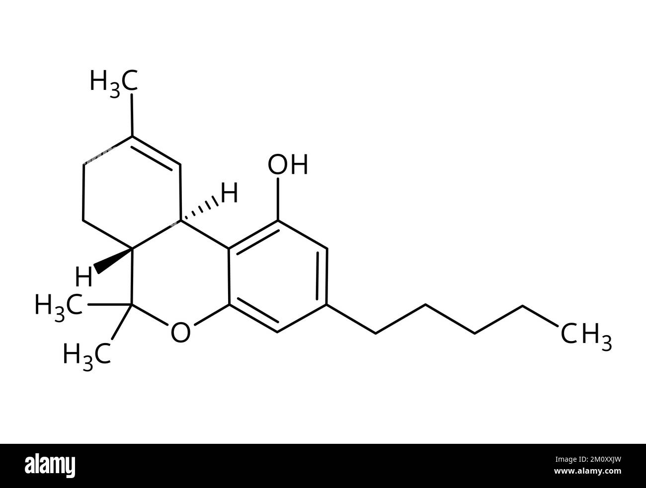 Tetraidrocannabinolo, o THC, struttura molecolare. Il tetraidrocannabinolo è il principale farmaco psicoattivo della cannabis. Formula strutturale vettoriale del composto chimico con legami rossi e etichette di atomi neri. Illustrazione Vettoriale