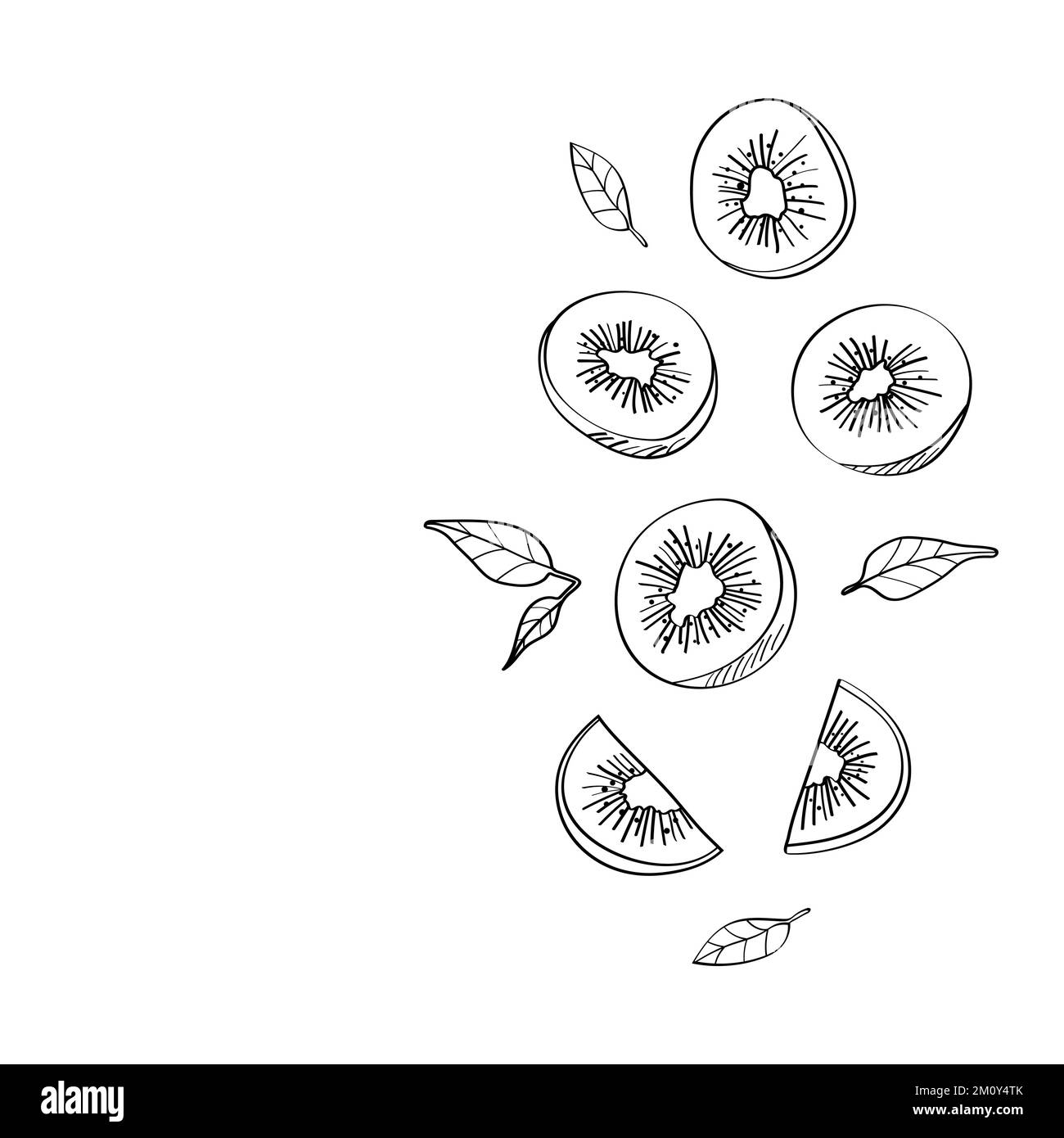 Kiwi esotici. Pattern vettoriale in uno stile disegnato a mano. Illustrazione Vettoriale