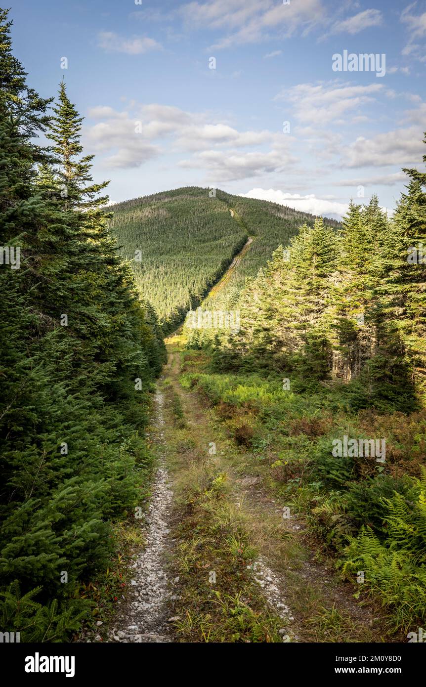 Il percorso di confine sale sul Boundary Mountain lungo la frontiera USA-Canada Foto Stock