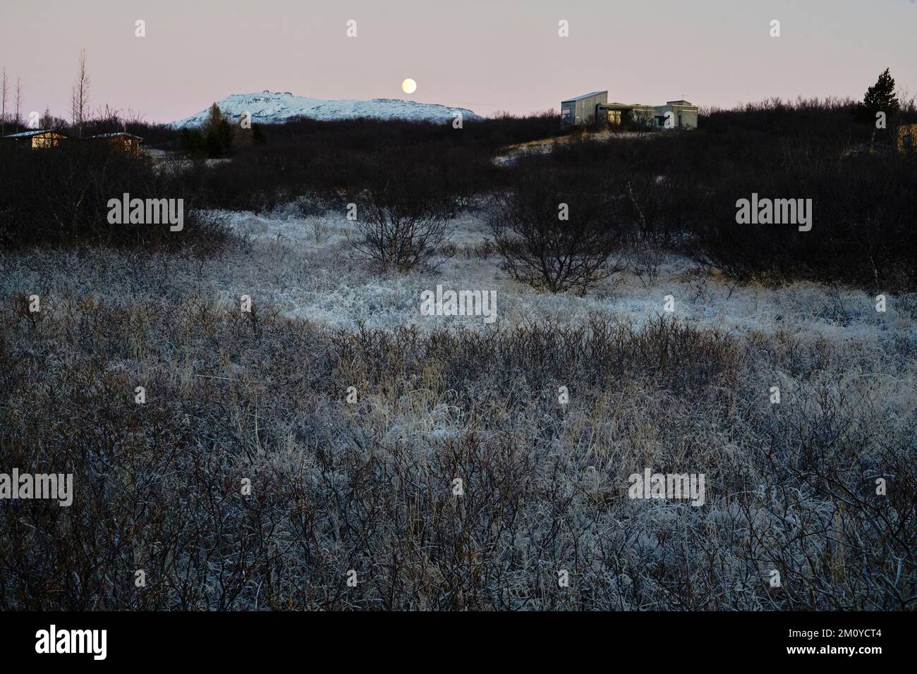 L'Islanda meridionale, immagini in intencse gelate prima delle nevi Foto Stock