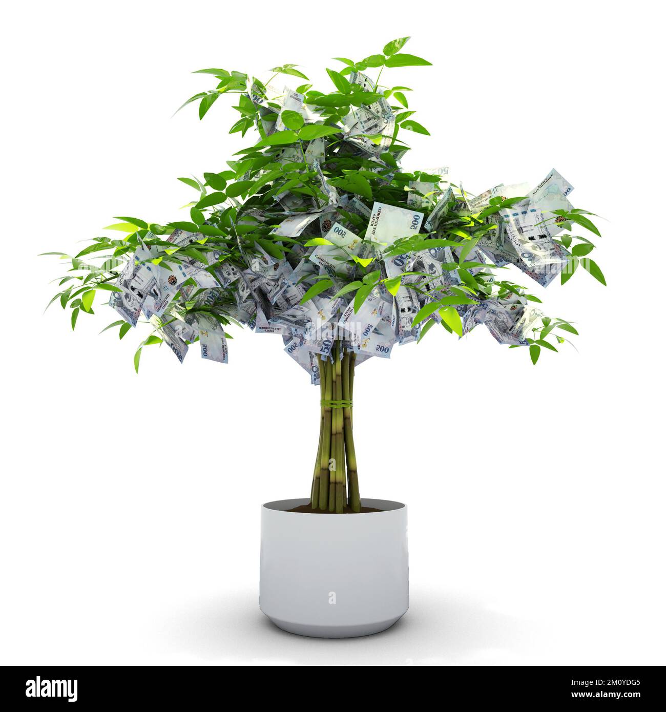 Albero di riyal saudita. Rendering 3d del denaro su albero isolato su sfondo bianco. crescita finanziaria Foto Stock