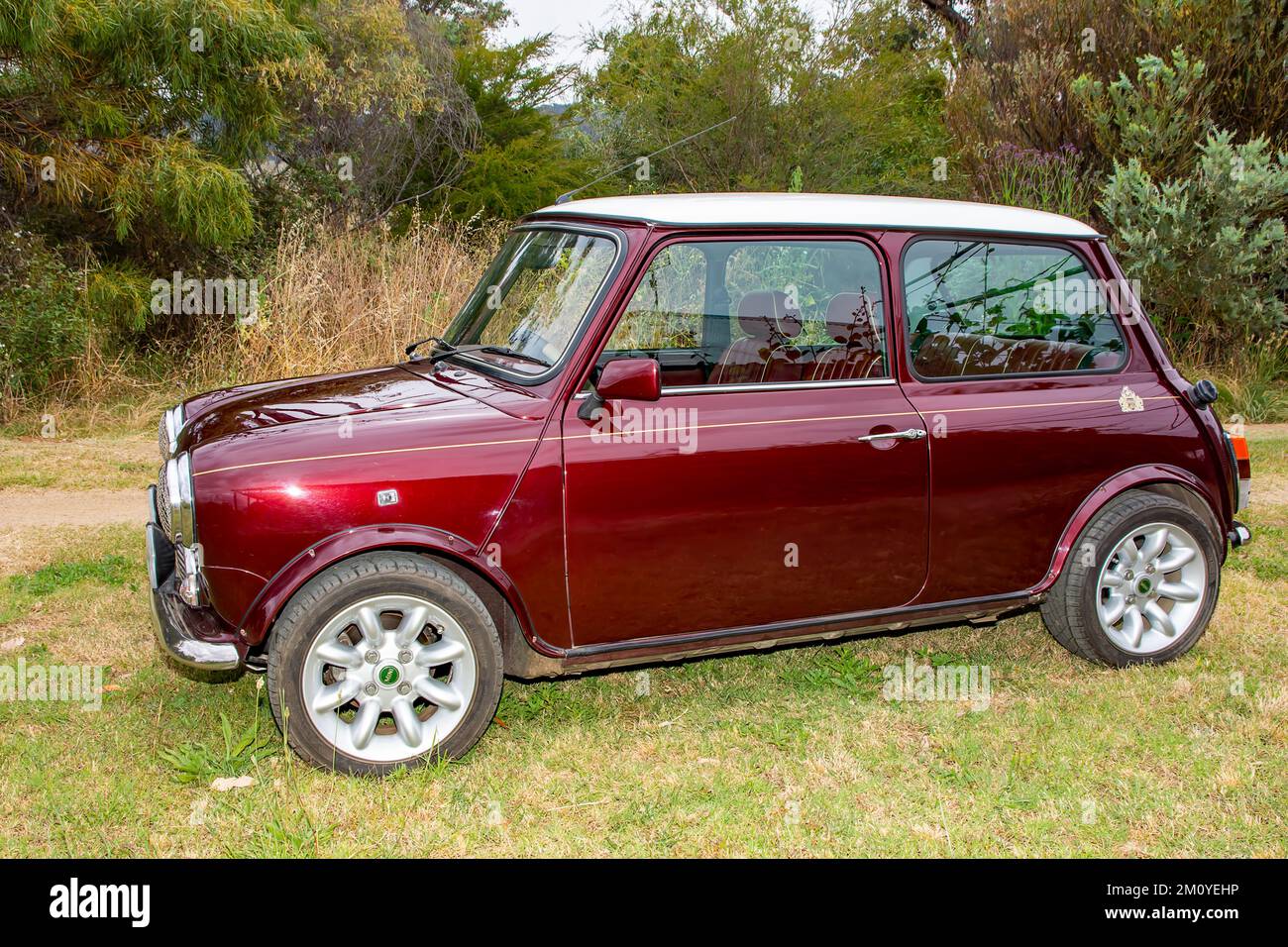 Vista laterale 1999 Rover Mini Cooper '40' 40th° anniversario Luxury Edition. Foto Stock