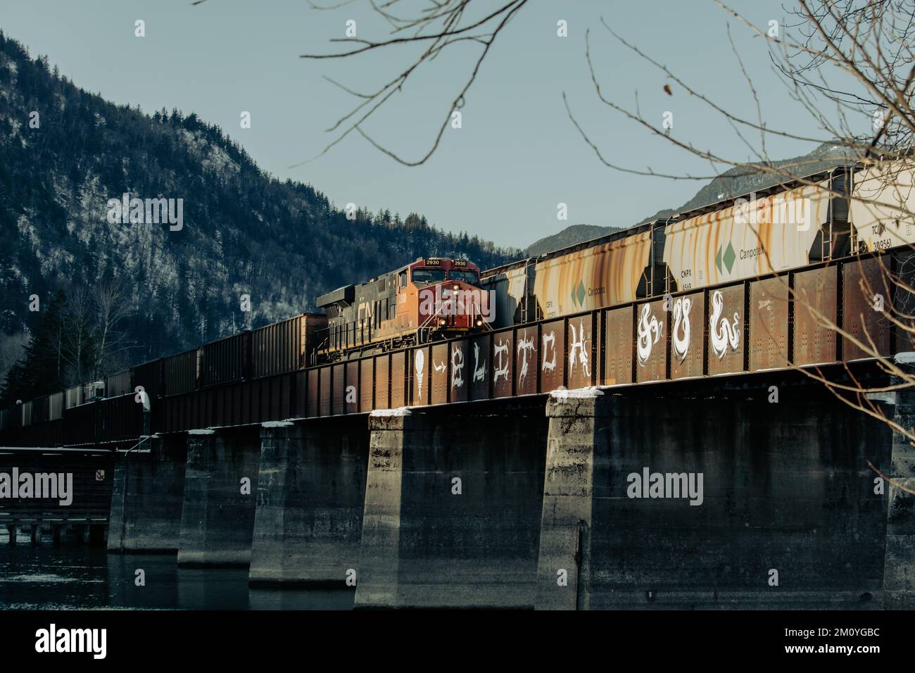 Treno nazionale canadese che attraversa il fiume Fraser nella Columbia Britannica, Canada. Foto Stock