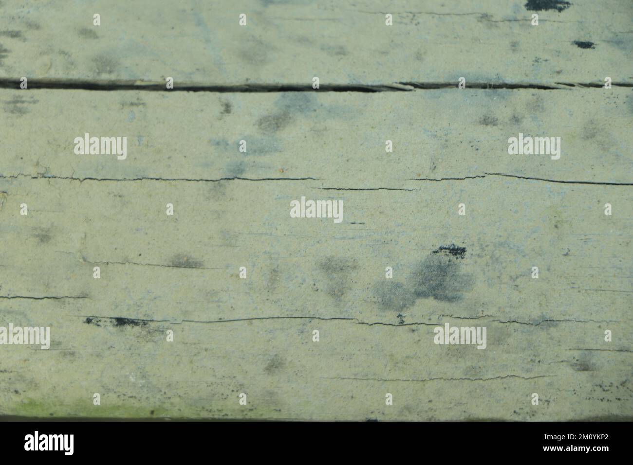 Bianco e nero texture di legno Foto Stock