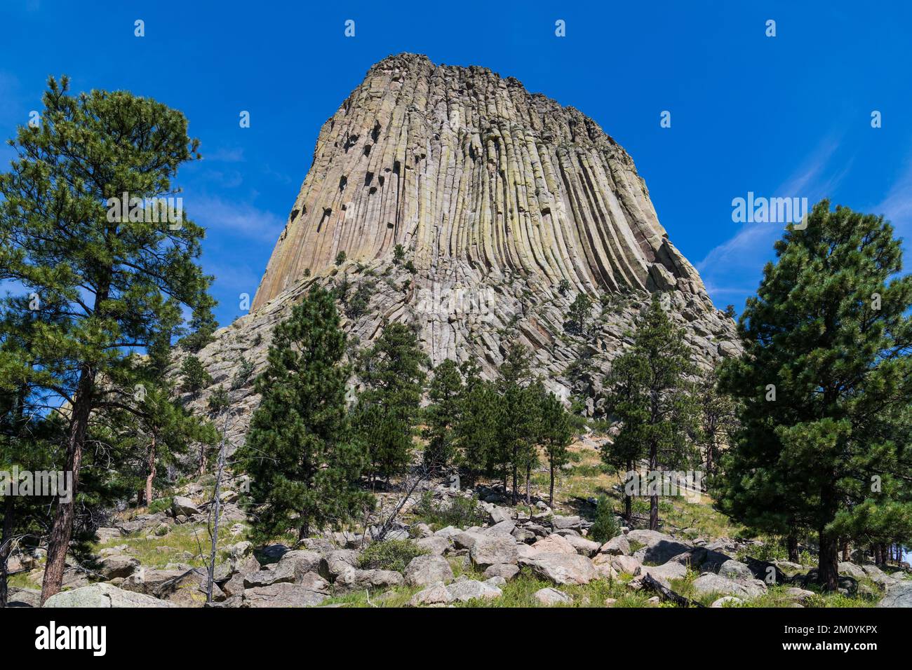 Torre dei diavoli che sorge in alto su un paesaggio di pini e prati ponderosi Foto Stock