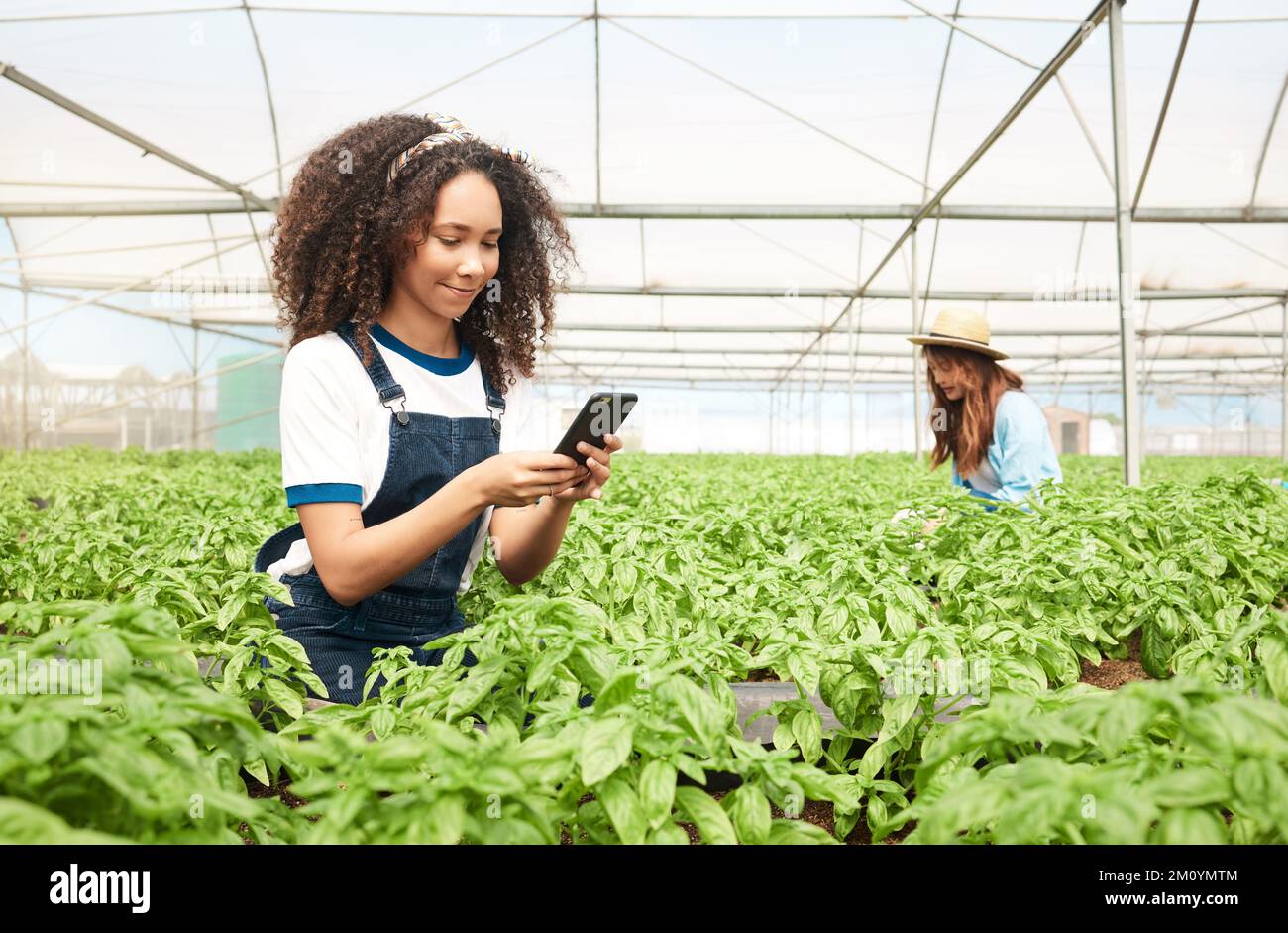 Chiacchierare con i coltivatori vicini circa il loro raccolto. una giovane donna che usa un cellulare mentre lavora in una fattoria. Foto Stock
