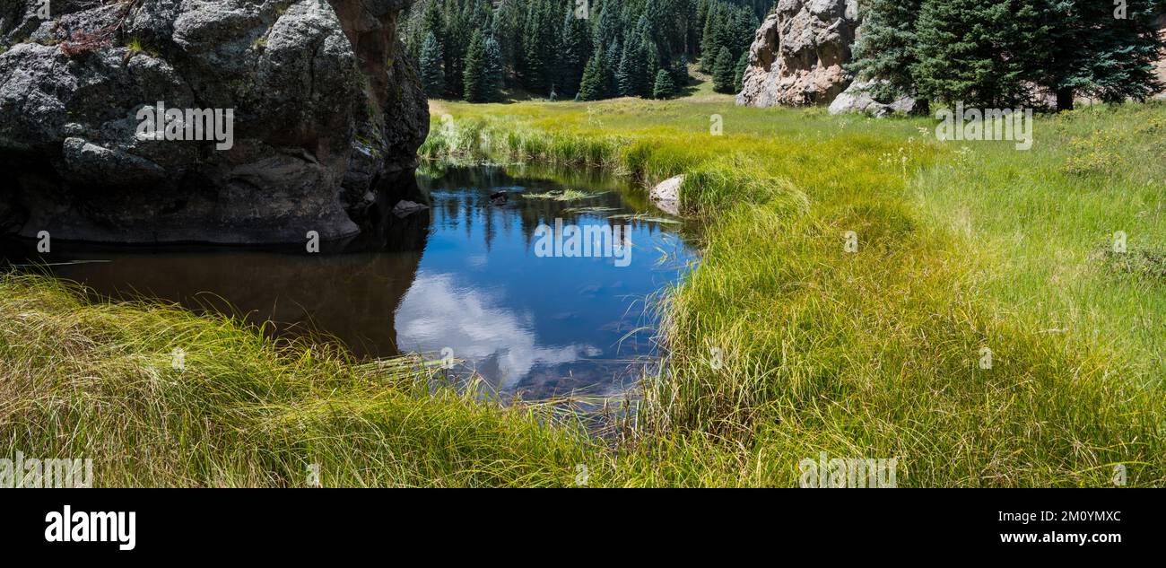 Piscina d'acqua che riflette il cielo blu e le nuvole bianche in un lussureggiante prato verde nella Valles Caldera National Preserve, New Mexico Foto Stock