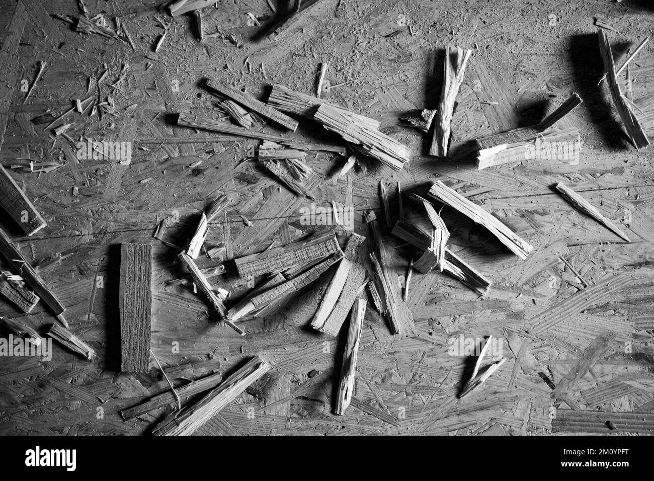 Sfondo bianco e nero della costruzione, segatura in legno e perni di rotolamento giacciono sul pavimento dalla piastra osb, vista dall'alto Foto Stock