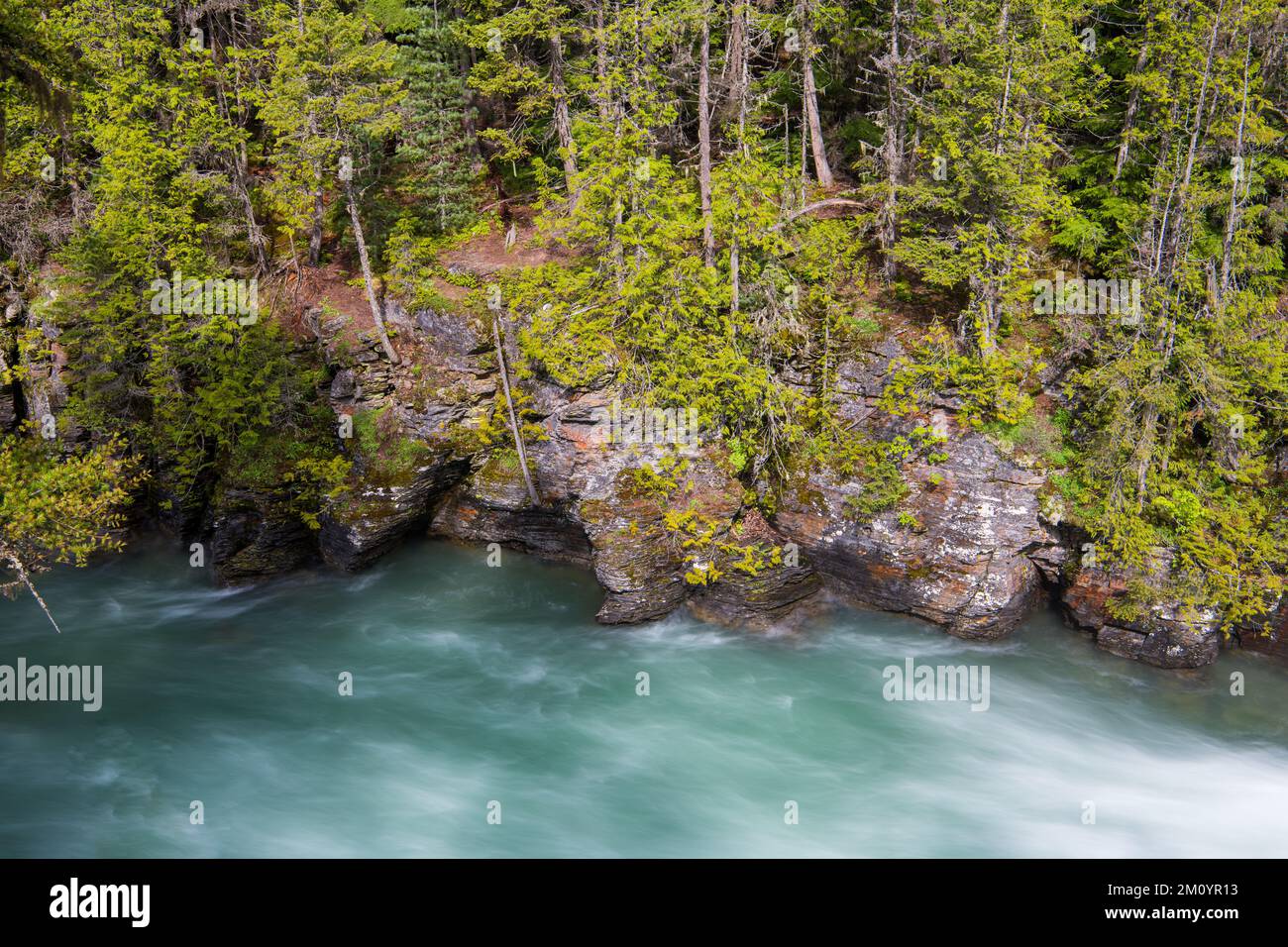 Lunga esposizione di McDonald Creek che scorre sotto alte scogliere boscose di granito coperte di lichene, muschio e foresta nel Glacier National Park, Montana Foto Stock