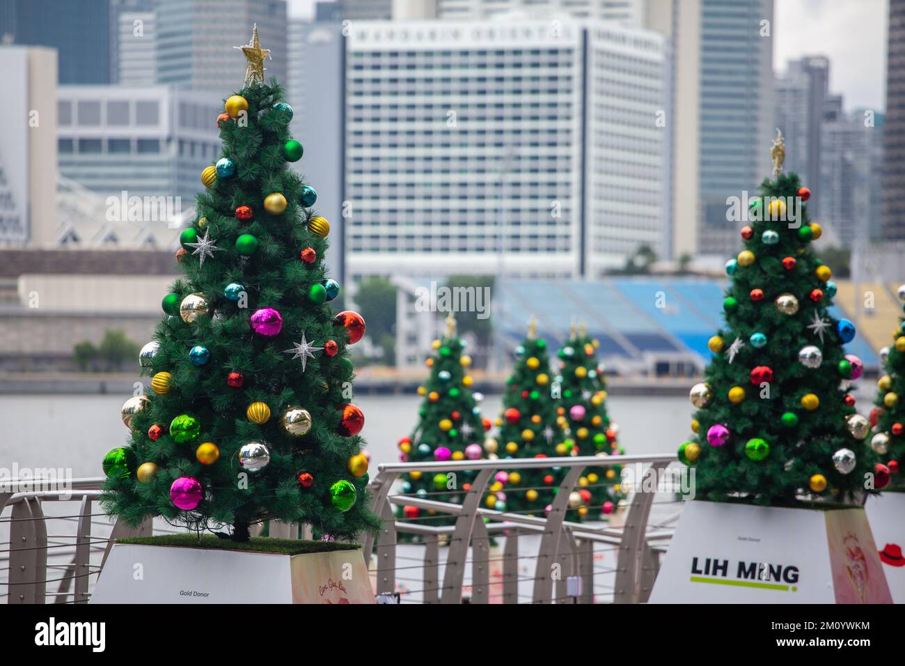 Molti alberi di Natale sono esposti in un ambiente esterno, contro l'ambiente urbano di un edificio a Singapore Foto Stock