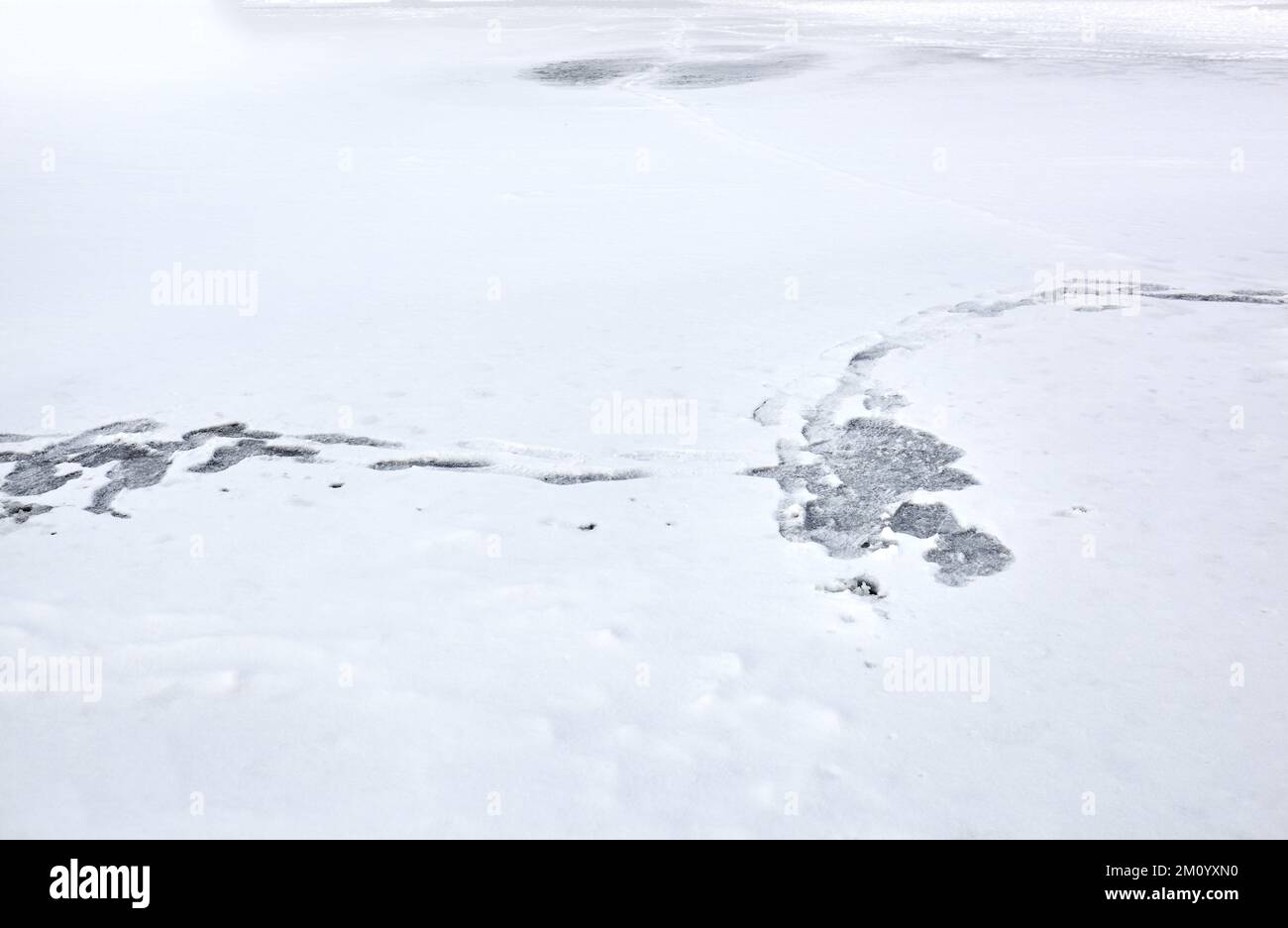 Neve invernale nel parco. Texture bianco innevato. Fiocchi di neve Foto Stock Neve invernale nel parco. Texture bianco innevato. Fiocchi di neve Foto Stock