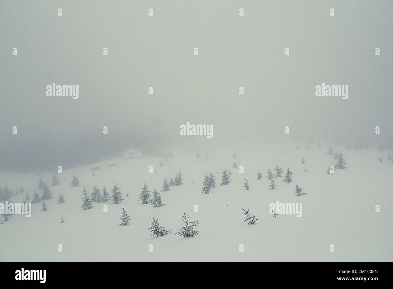 Collina innevata coperta di nebbia paesaggio foto Foto Stock
