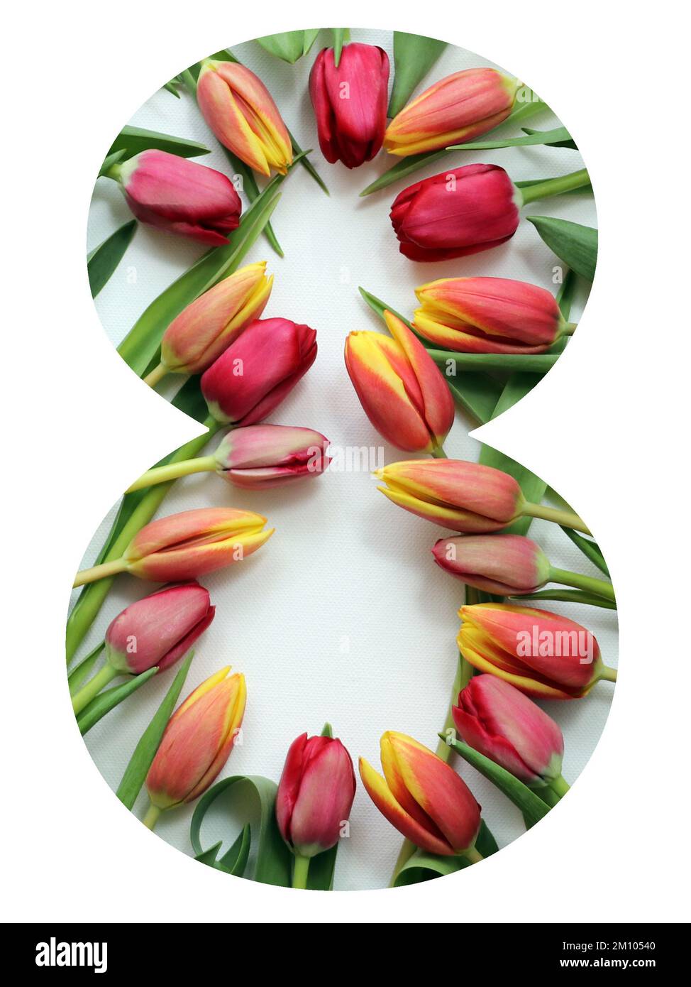 Biglietto d'auguri con tulipani rossi e gelsi. 8 marzo - Giornata internazionale della donna. Numero otto con fiori. Copia spazio per parola marzo in Nummber Eight. Foto Stock