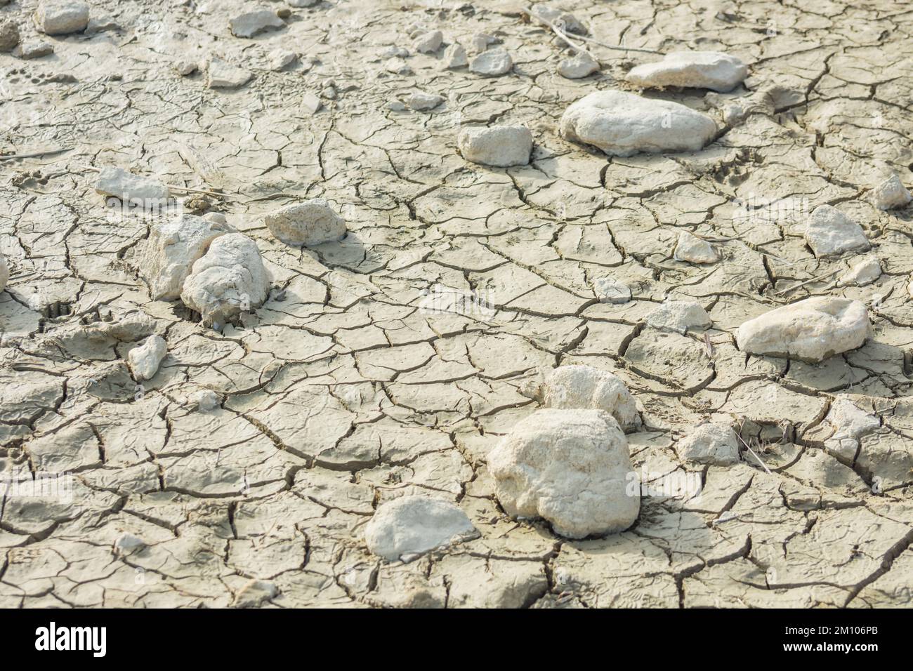 pietre bianche sulla terra da un stagno asciutto su con le fessure cambiamento climatico Foto Stock