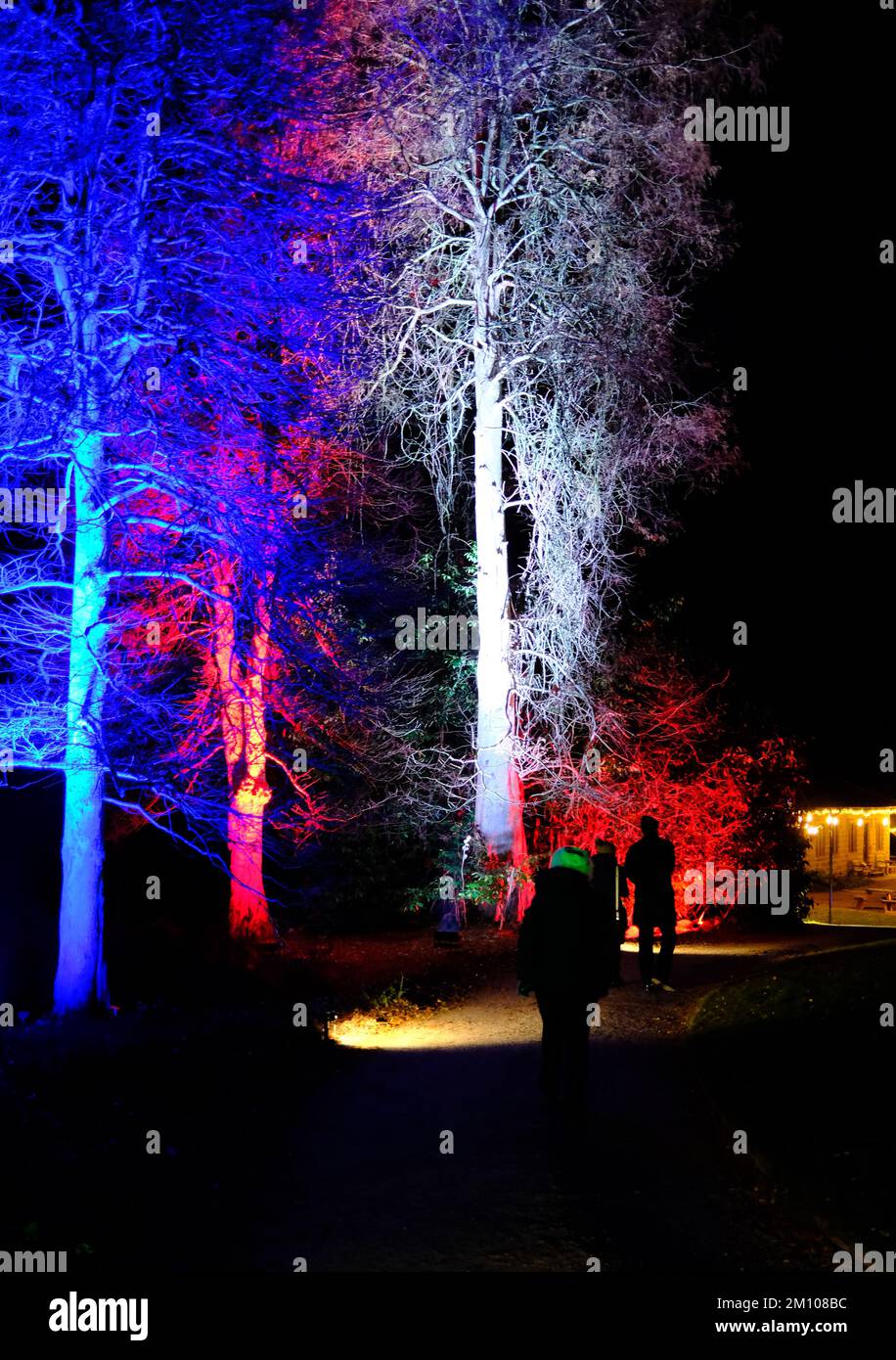 The Glow, illuminazioni invernali, RHS Harlow Carr Gardens, Harrogate 2022 Foto Stock