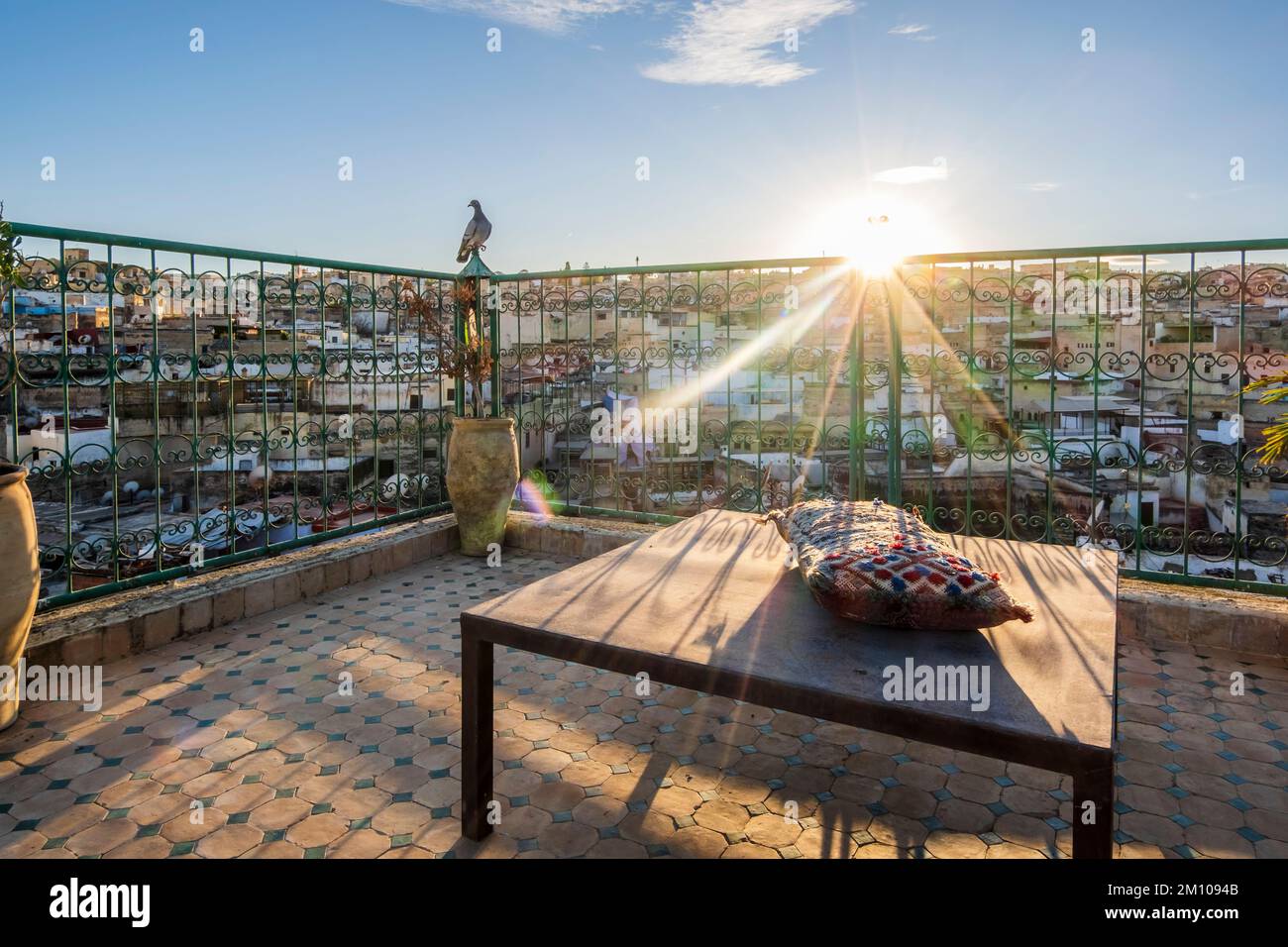 Pigeon riposo sulla terrazza sul tetto nella città vecchia arabo chiamato Medina durante il tramonto, Fez, Marocco Foto Stock