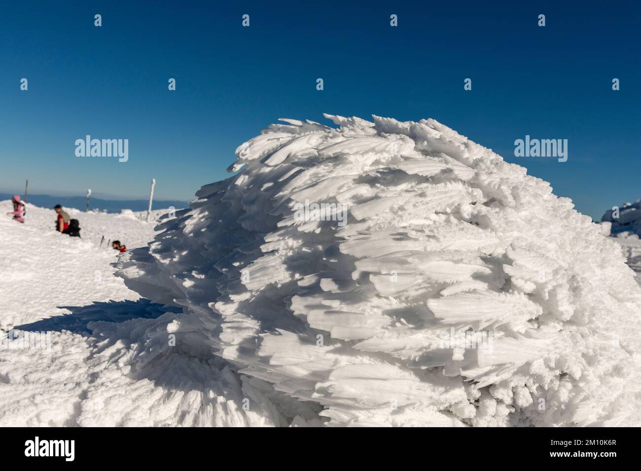 Formazioni di ghiaccio delle Rime al Black Peak Summit alle 2290m:00 a Vitosha Mountain, Bulgaria Foto Stock