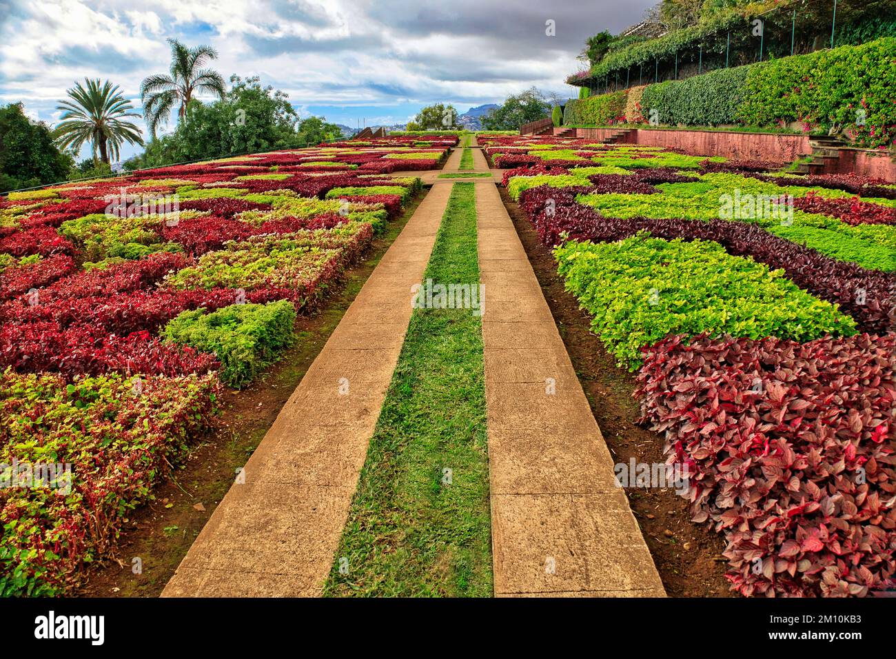 Giardini botanici a Funchal, Madeira - impressionante giardino formale simmetrico, conosciuto anche come giardino coreografico Foto Stock