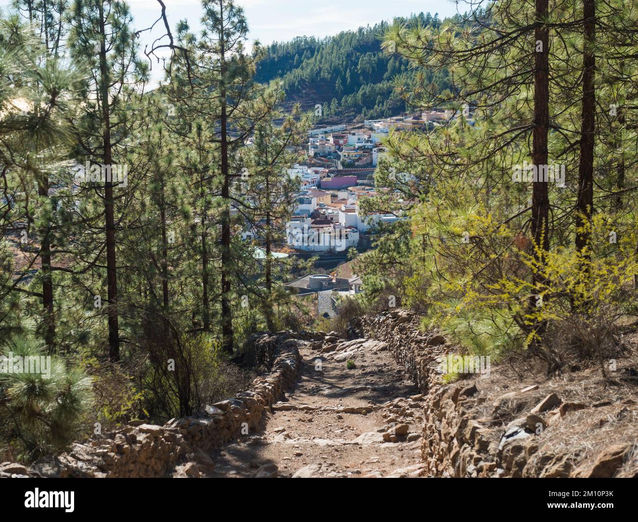 Vista del villaggio Vilaflor de Chasna da strada sterrata a lussureggiante verde pineta, sentiero escursionistico a Paisaje Lunar formazione di roccia vulcanica, Tenerife Foto Stock