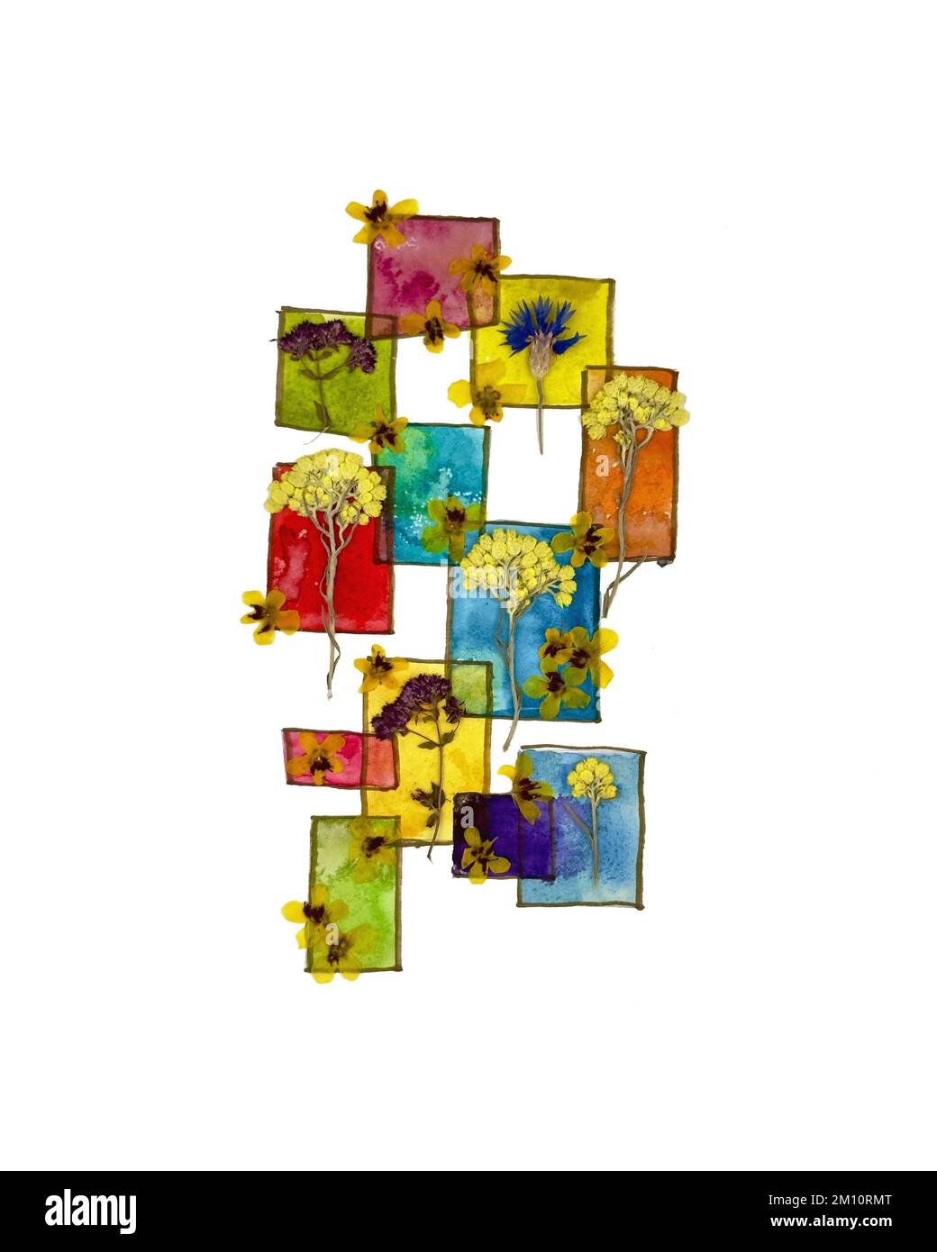 Fiori pressati secchi in gruppo su sfondo acrilico geometrico a strisce dipinte. Moderna arte botanica dei fiori pressati Aristeria pressata Oshibana. Poster Foto Stock