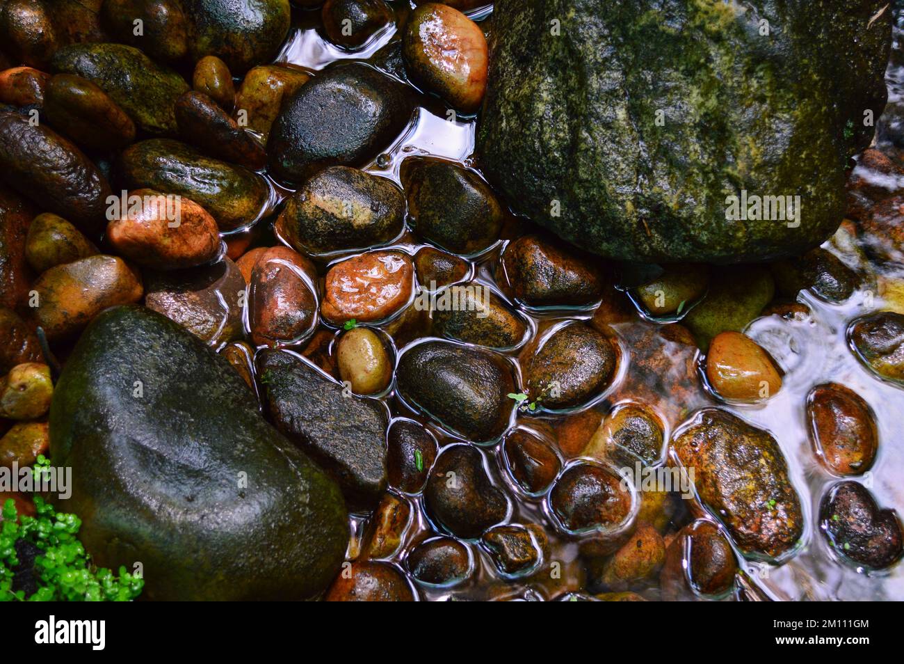 Acqua chiara e fresca che scorre dolcemente su ciottoli lisci e bagnati e rocce muschiose in un ruscello naturale. Foto Stock