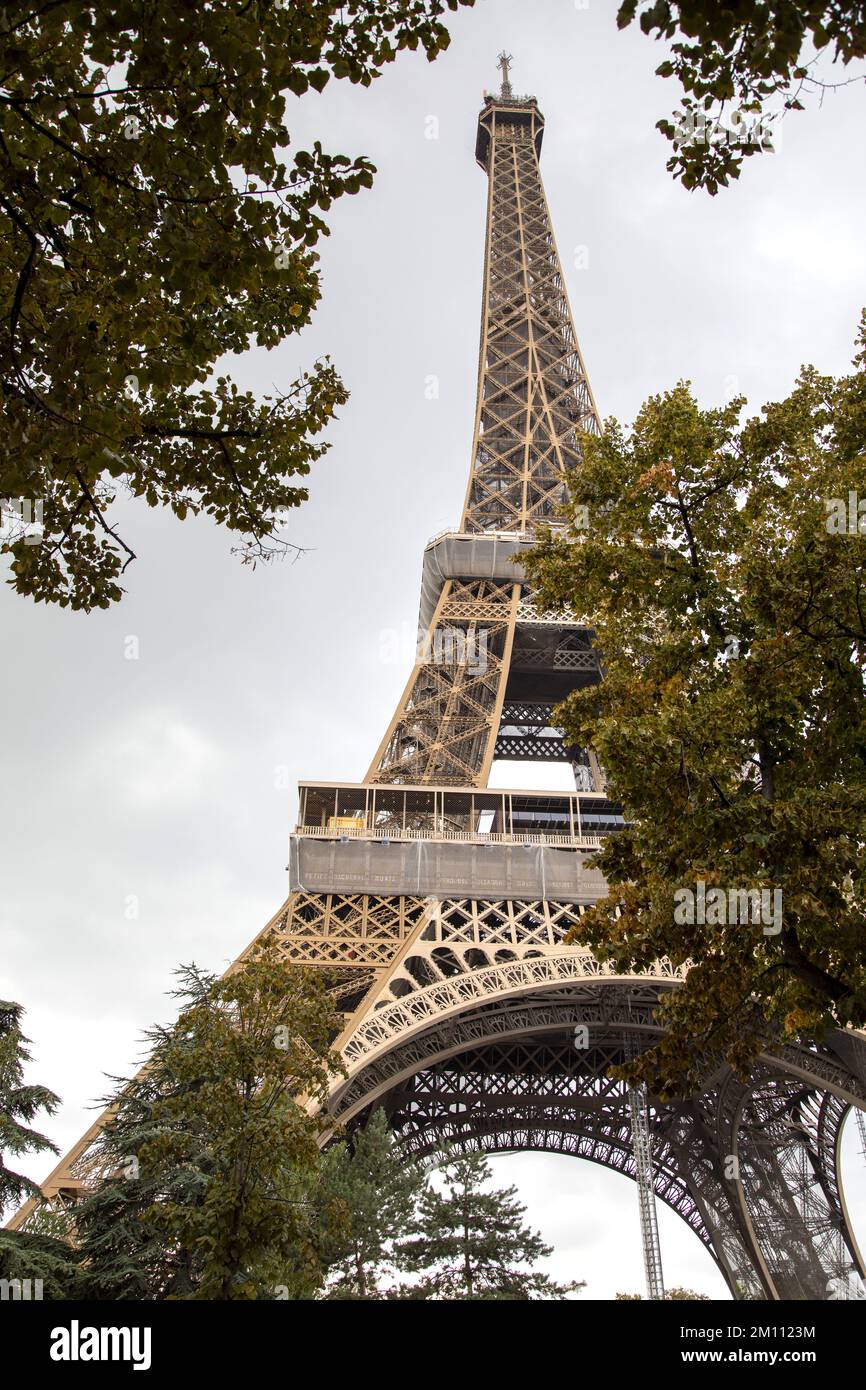 La Torre Eiffel visto attraverso gli alberi a Parigi Francia Foto Stock