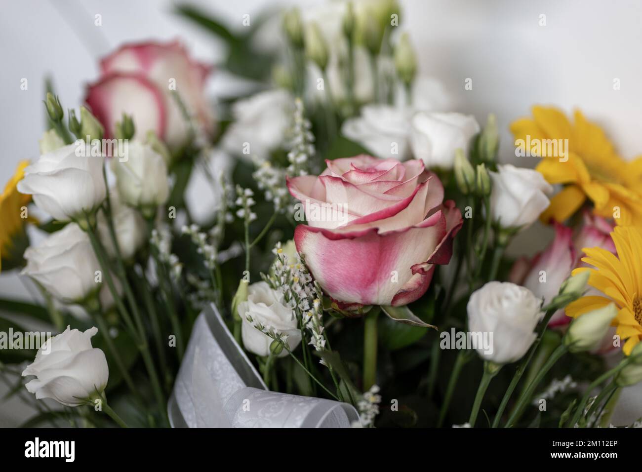 rose bianche e rosa e bouquet di margherite gialle Foto Stock