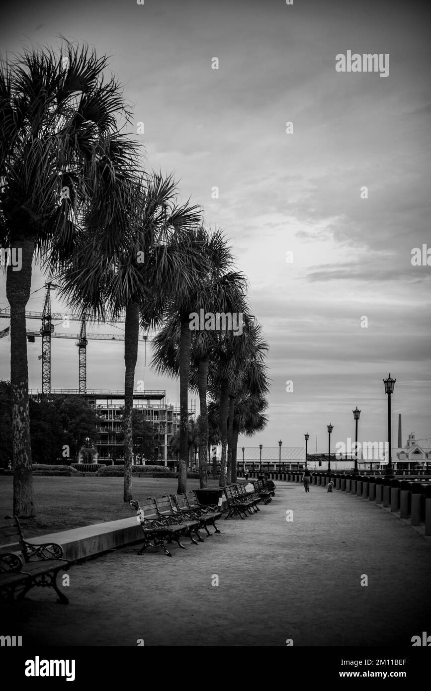 Una vista verticale in scala di grigi del parco Waterfront nella città di Charleston, Carolina del Sud, Stati Uniti Foto Stock