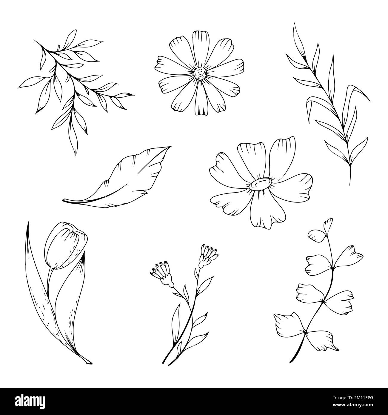set di fiori in stile disegnato a mano nell'illustrazione Illustrazione Vettoriale